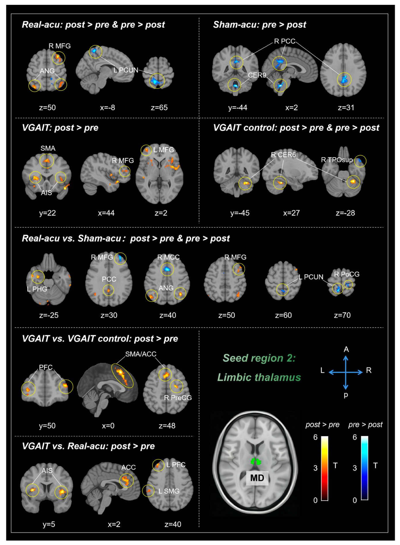 Biomedicines 11 01830 g002 Biomedicines 11 01830 g002