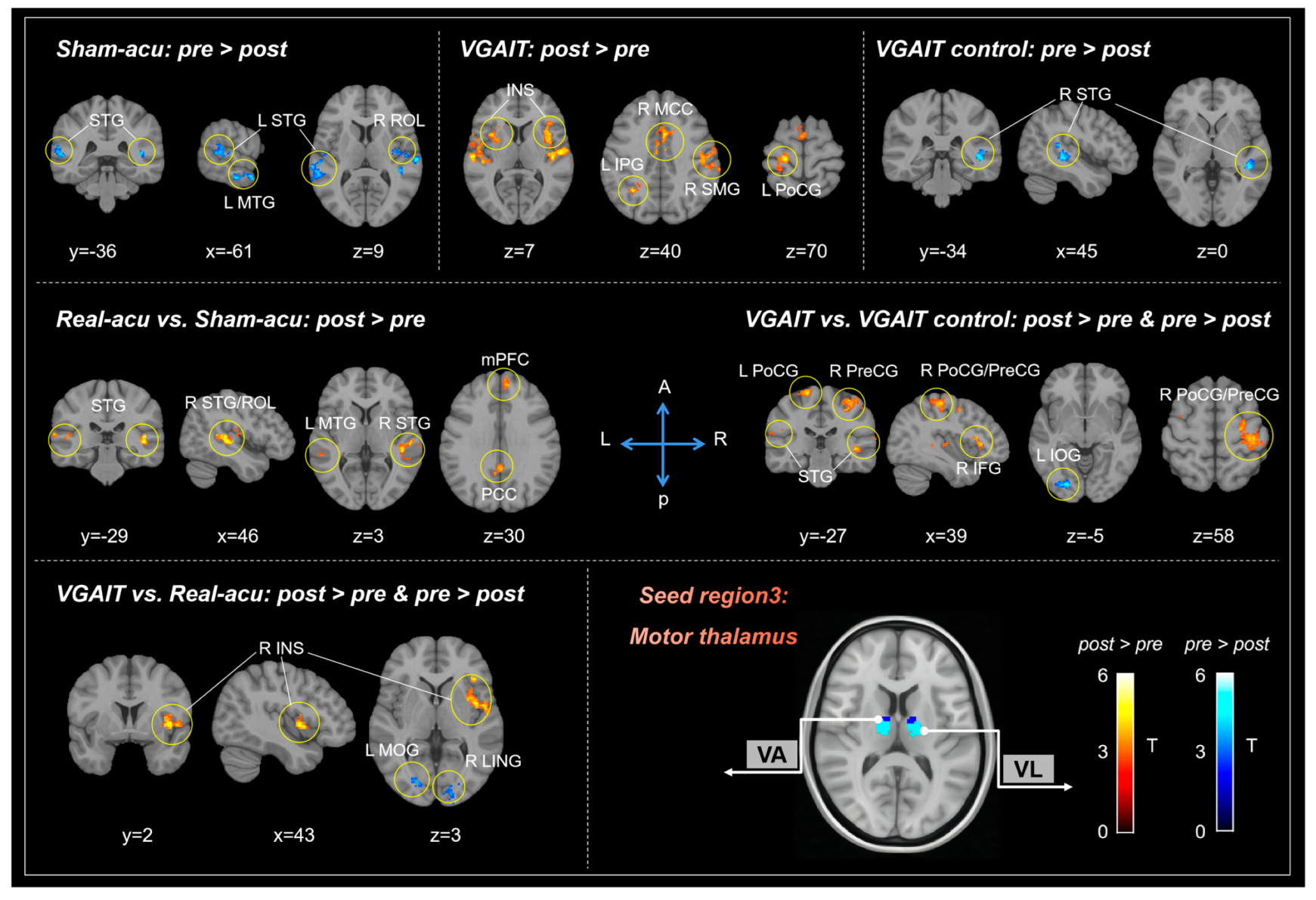 Biomedicines 11 01830 g003 Biomedicines 11 01830 g003