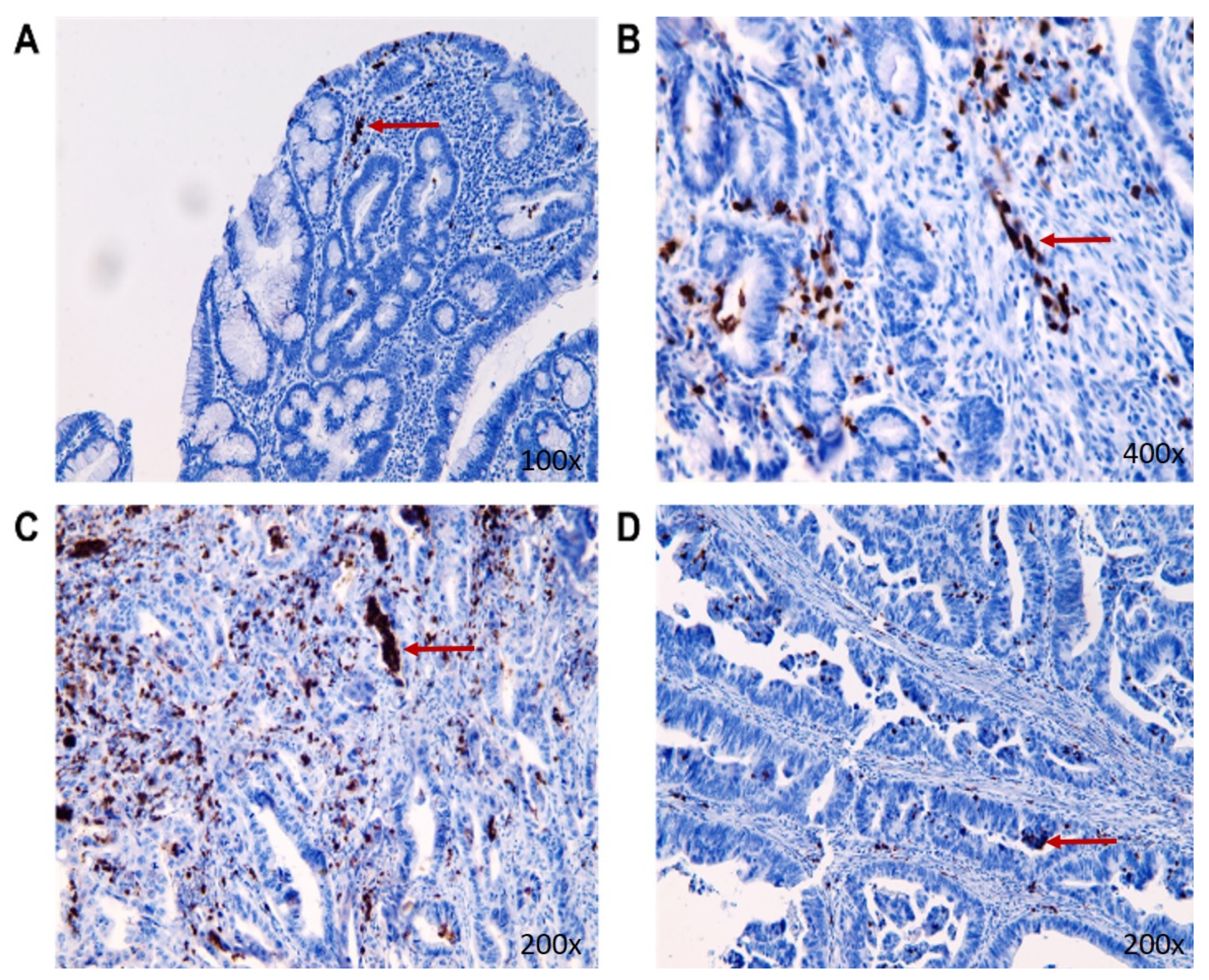 Biomedicines 11 01839 g006 Biomedicines 11 01839 g006