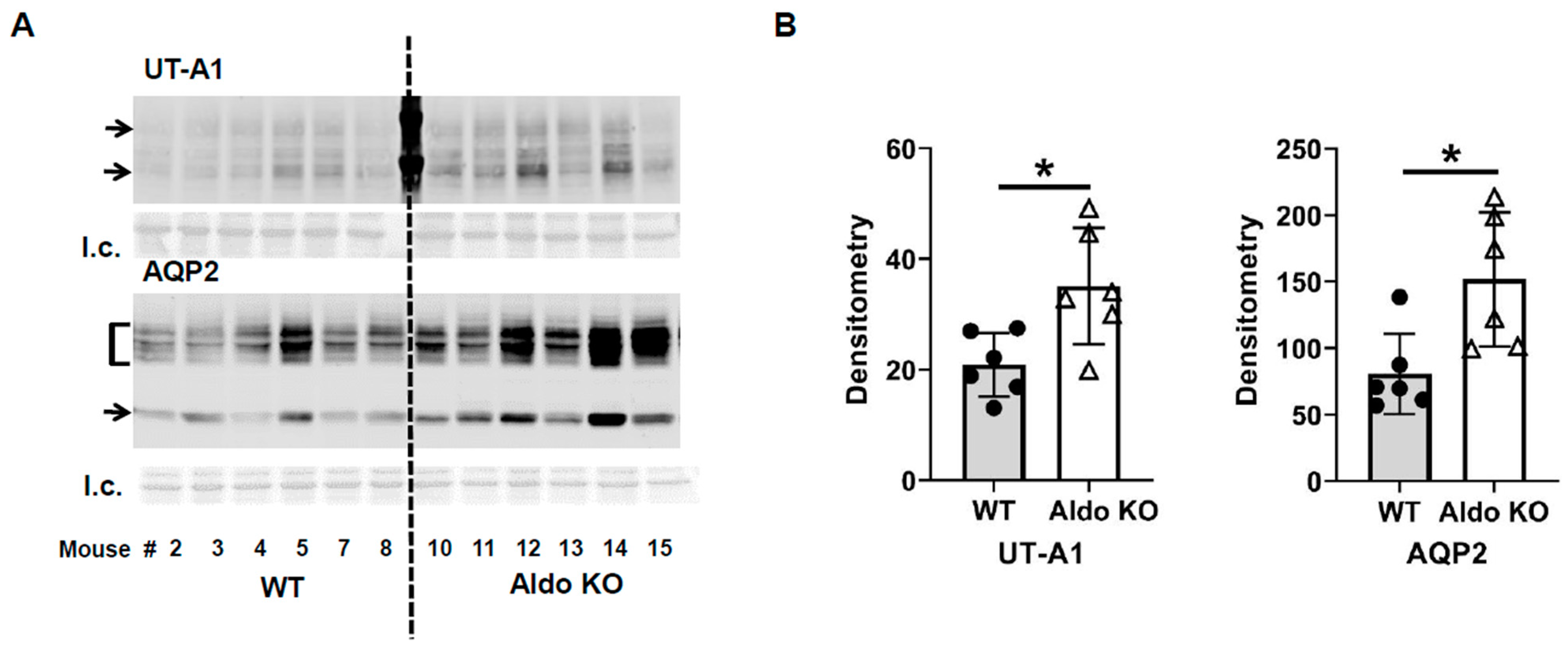 Biomedicines 11 01844 g002