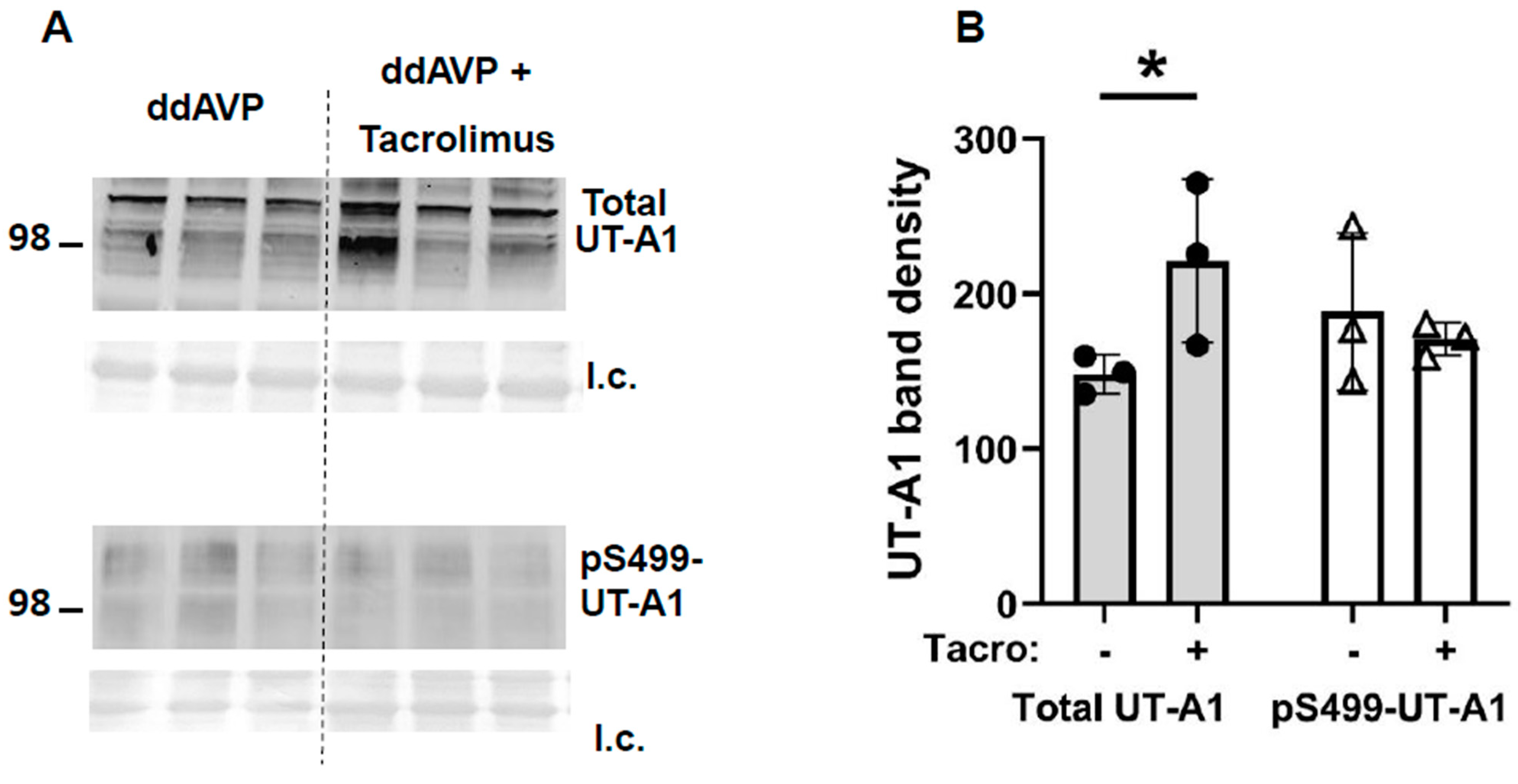 Biomedicines 11 01844 g005