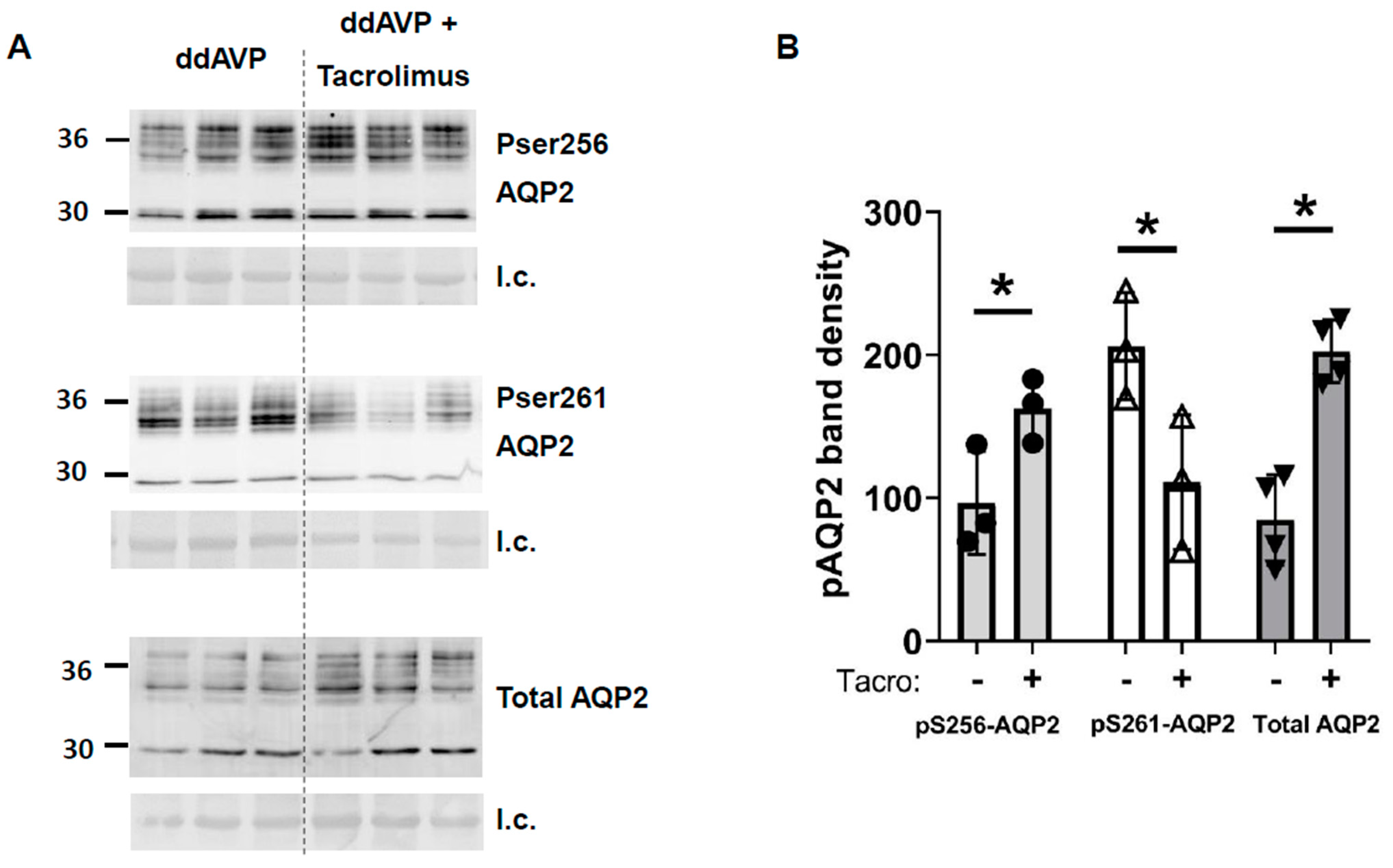 Biomedicines 11 01844 g006