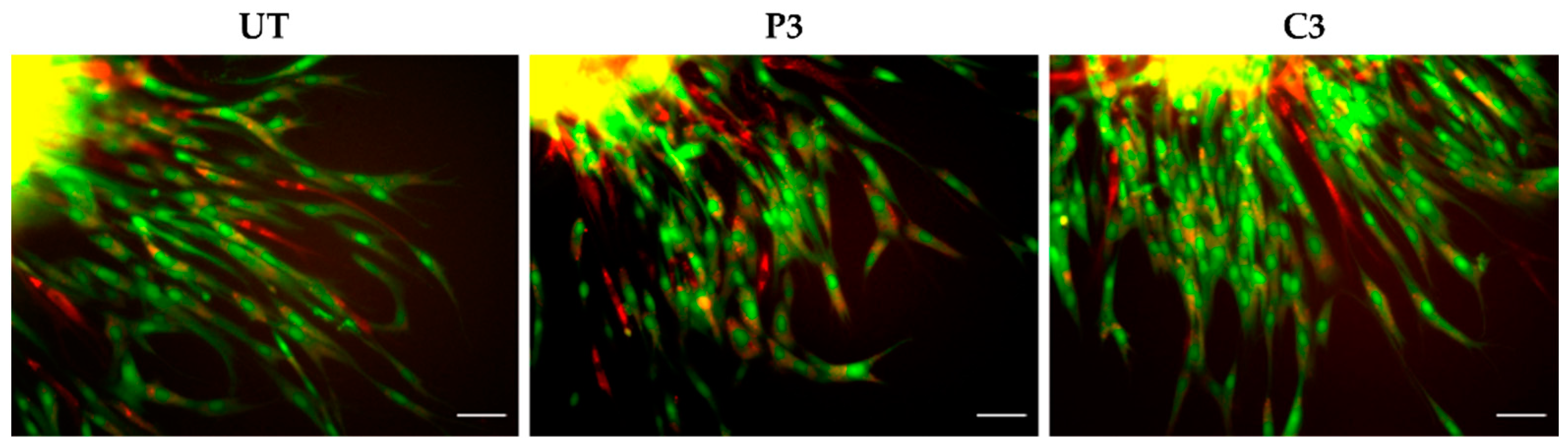 Biomedicines 11 01855 g004 Biomedicines 11 01855 g004
