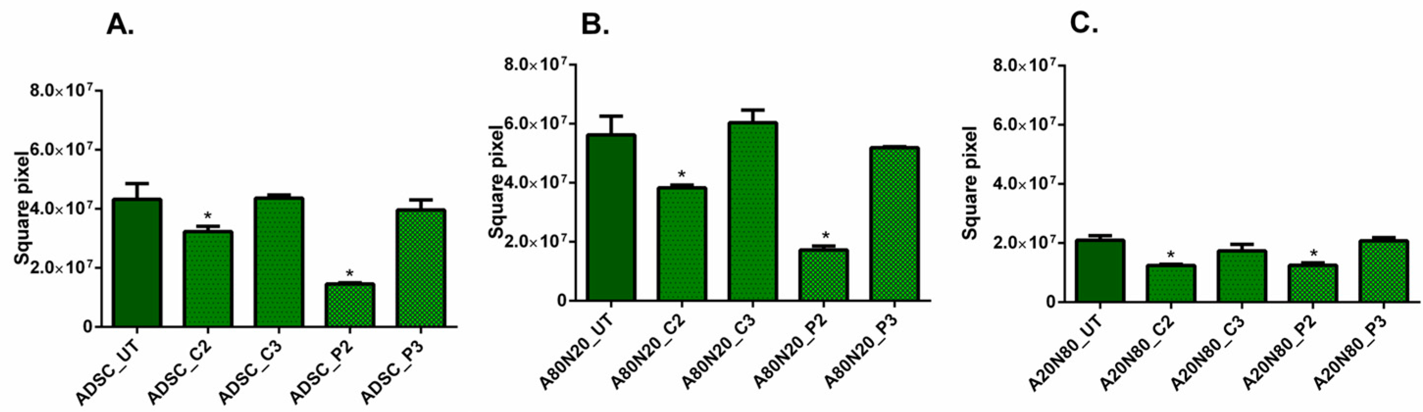 Biomedicines 11 01855 g005 Biomedicines 11 01855 g005
