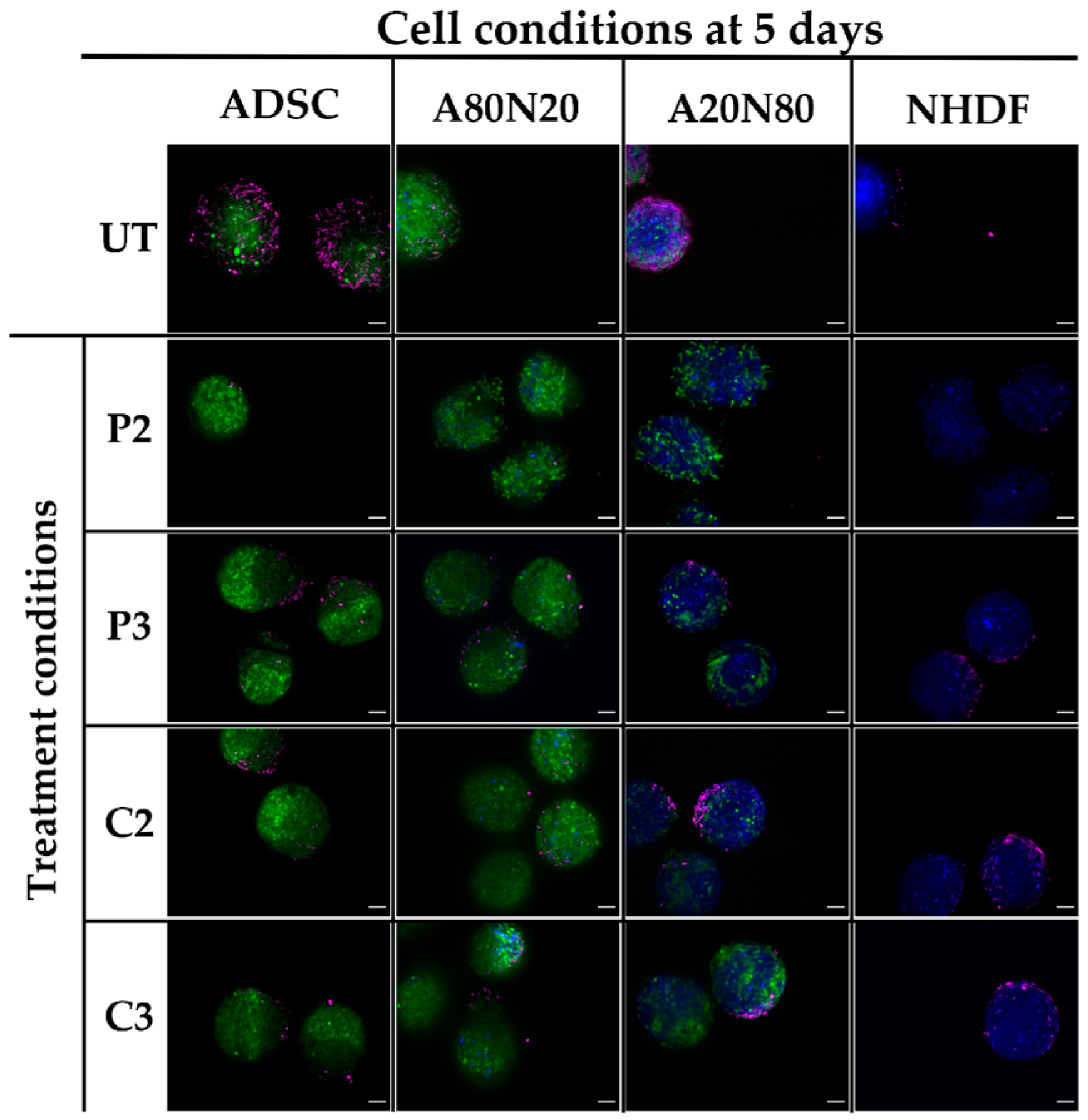 Biomedicines 11 01855 g010 Biomedicines 11 01855 g010