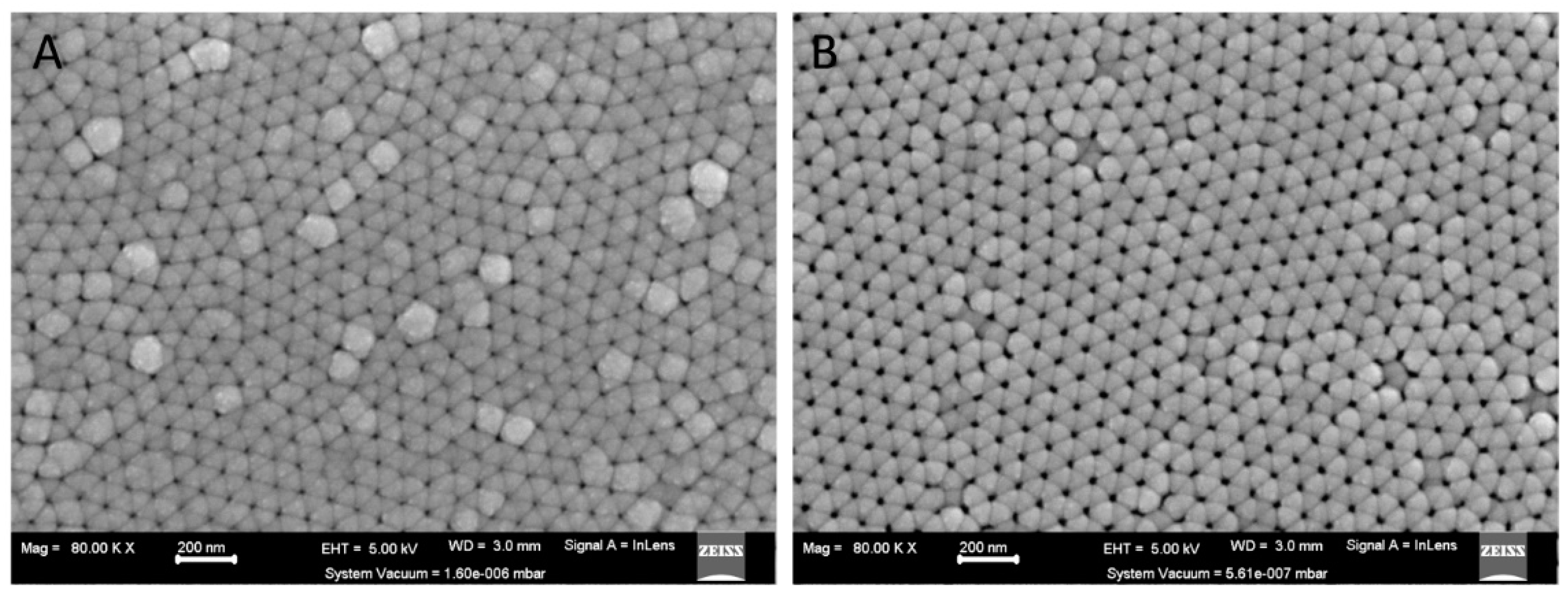 Biomedicines 11 01857 g001 Biomedicines 11 01857 g001