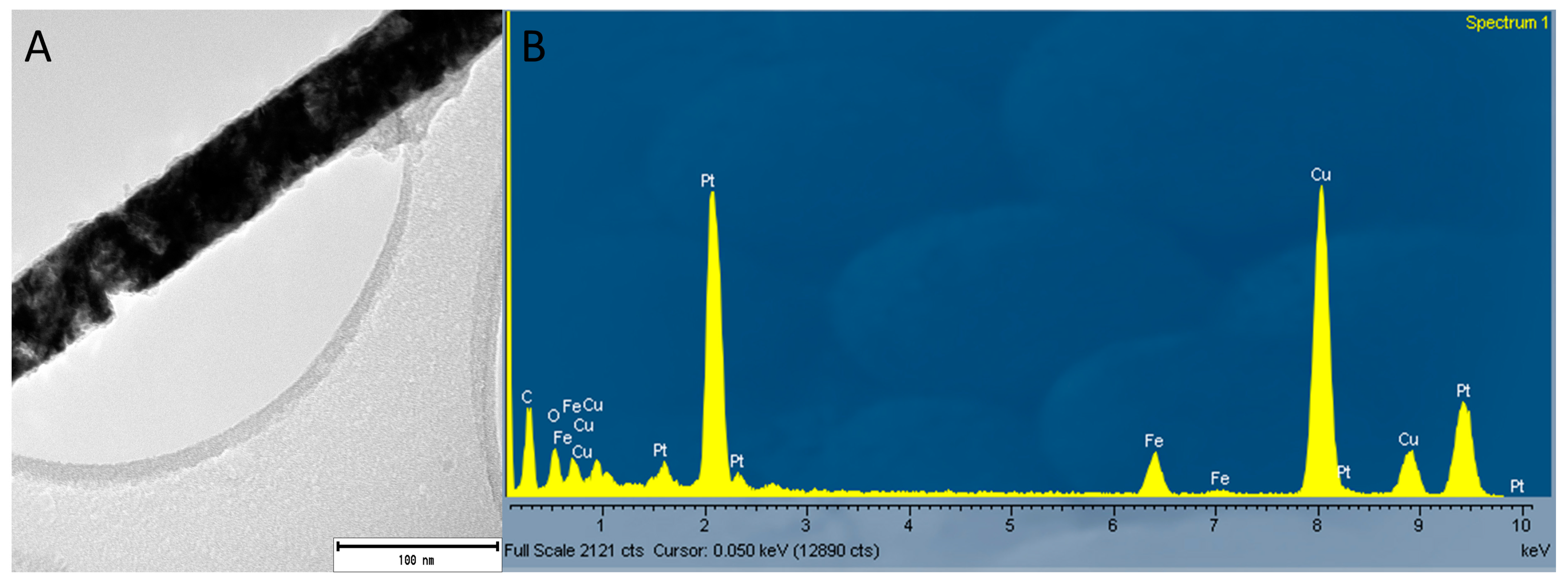 Biomedicines 11 01857 g005 Biomedicines 11 01857 g005