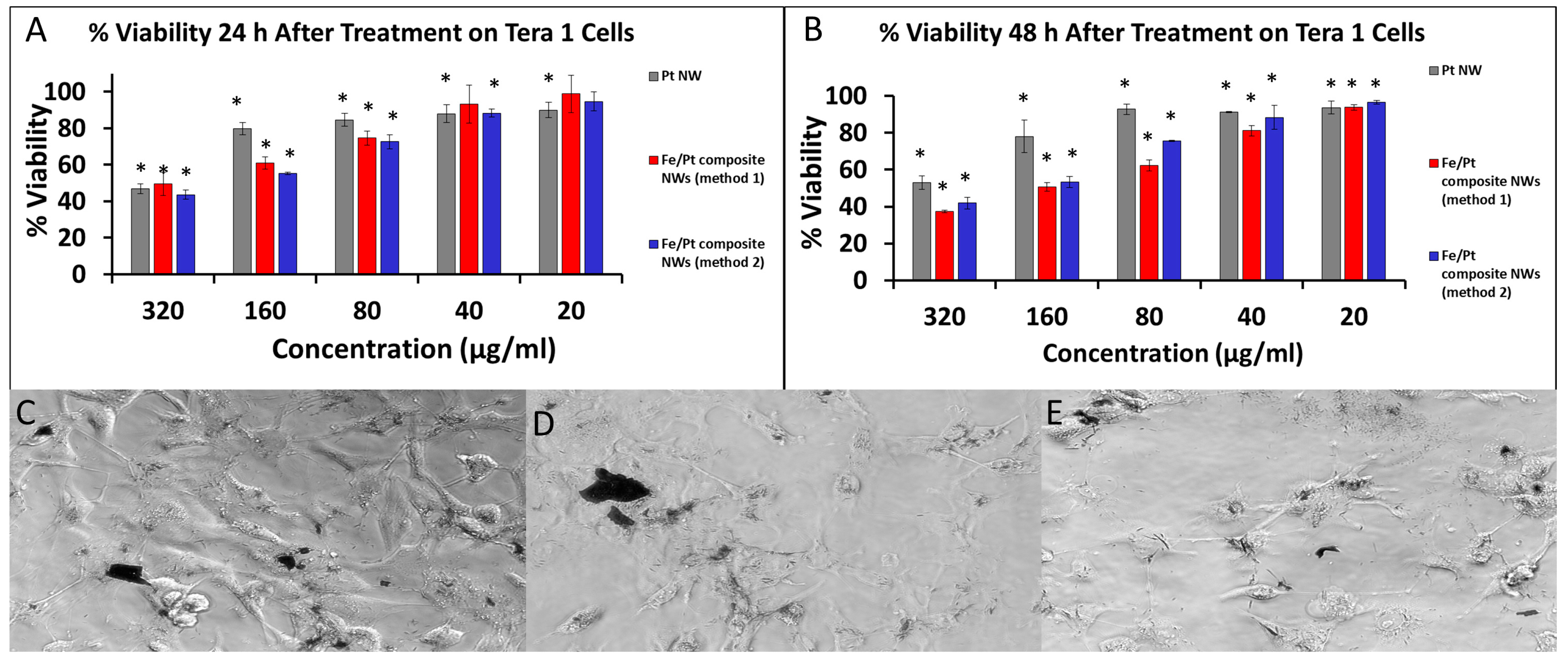 Biomedicines 11 01857 g008 Biomedicines 11 01857 g008