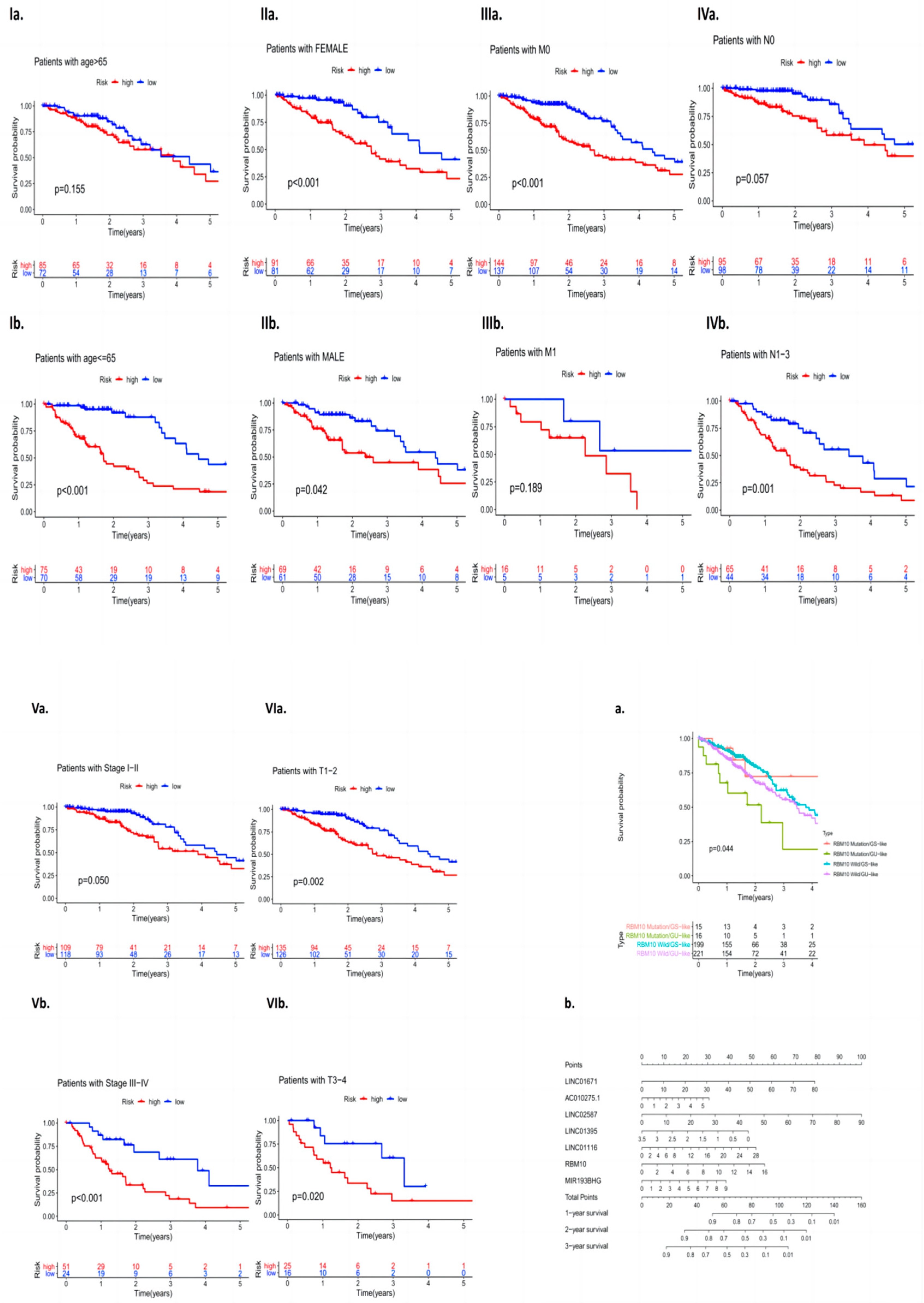 Biomedicines 11 01861 g004