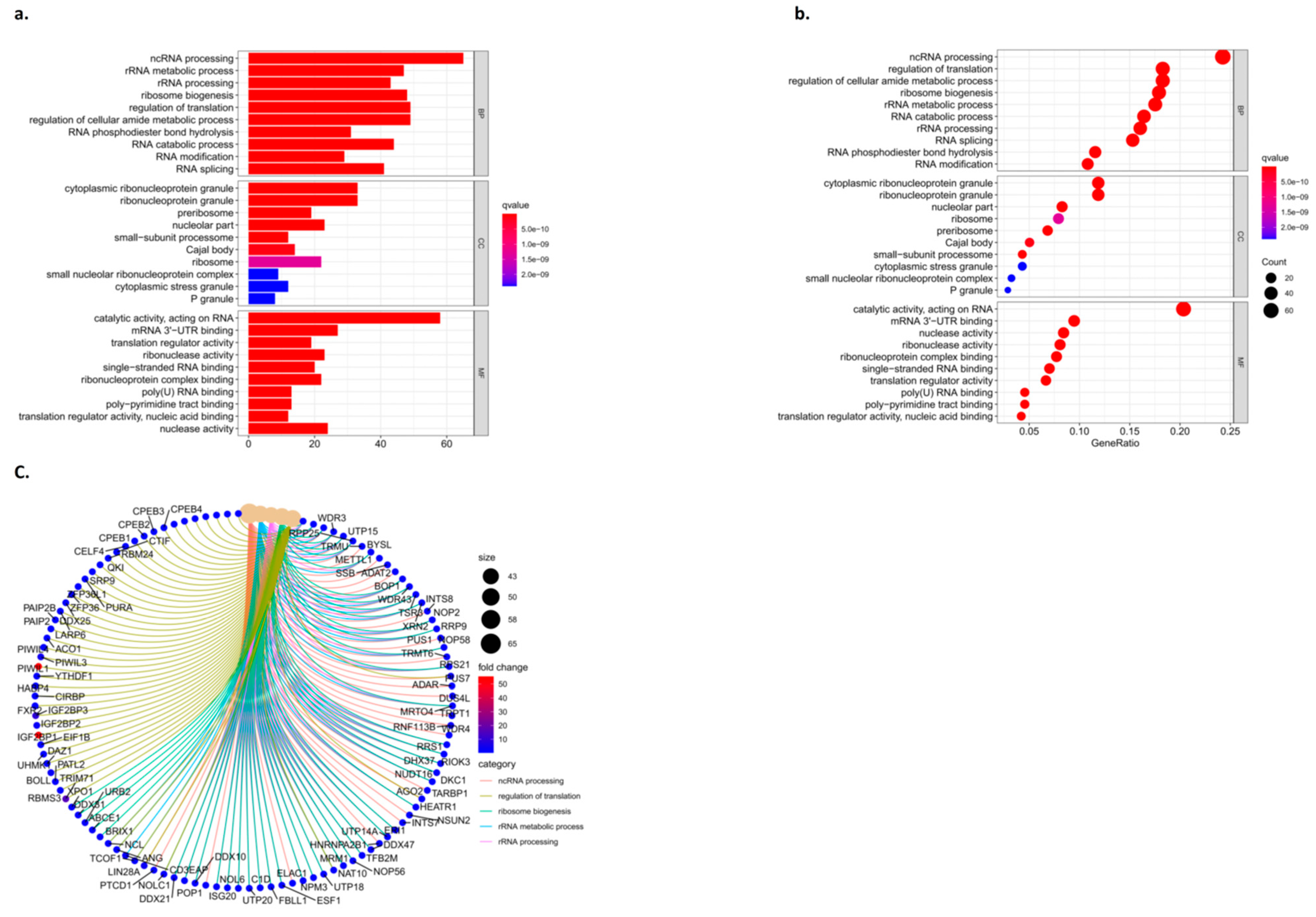 Biomedicines 11 01861 g006