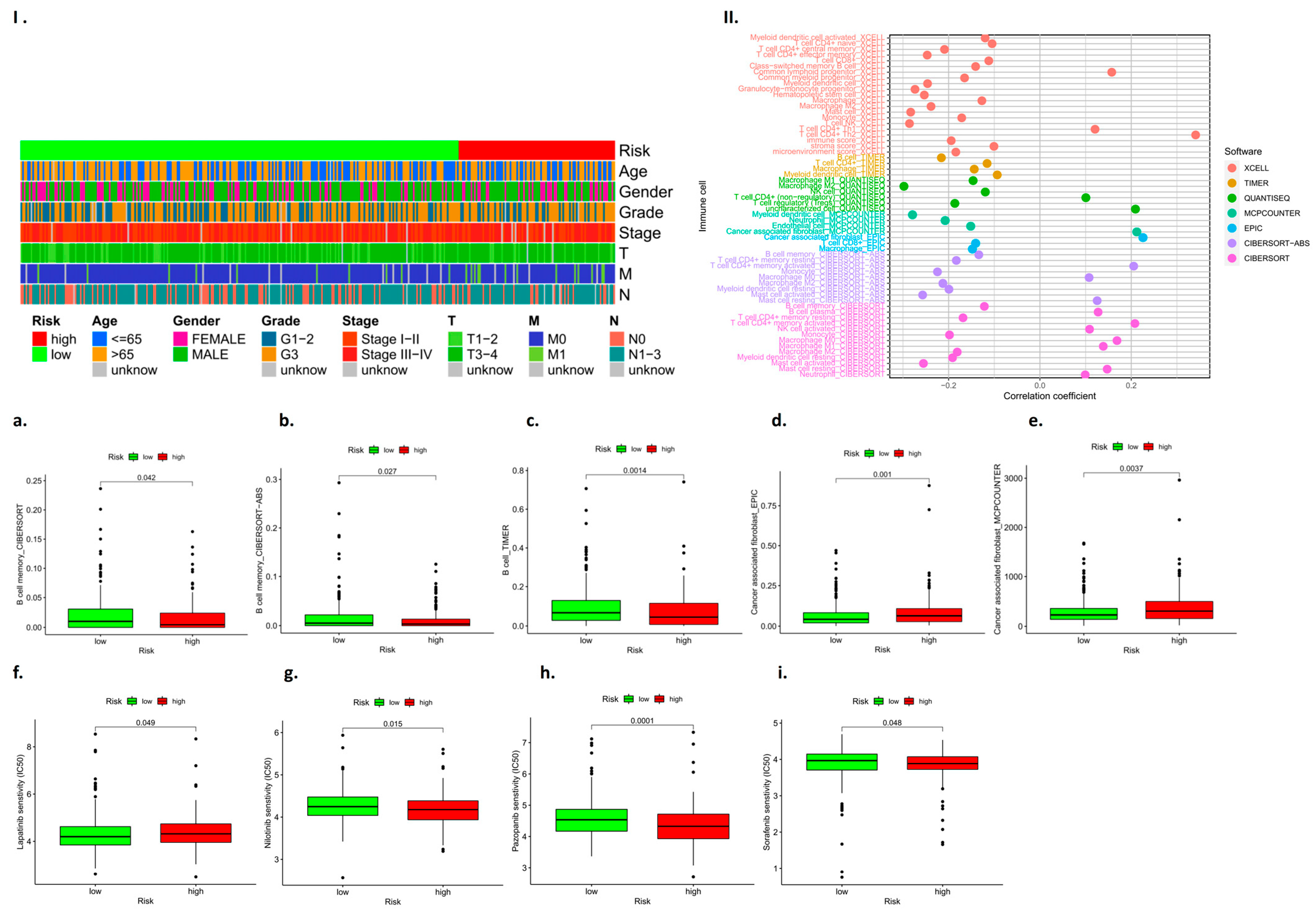 Biomedicines 11 01861 g011