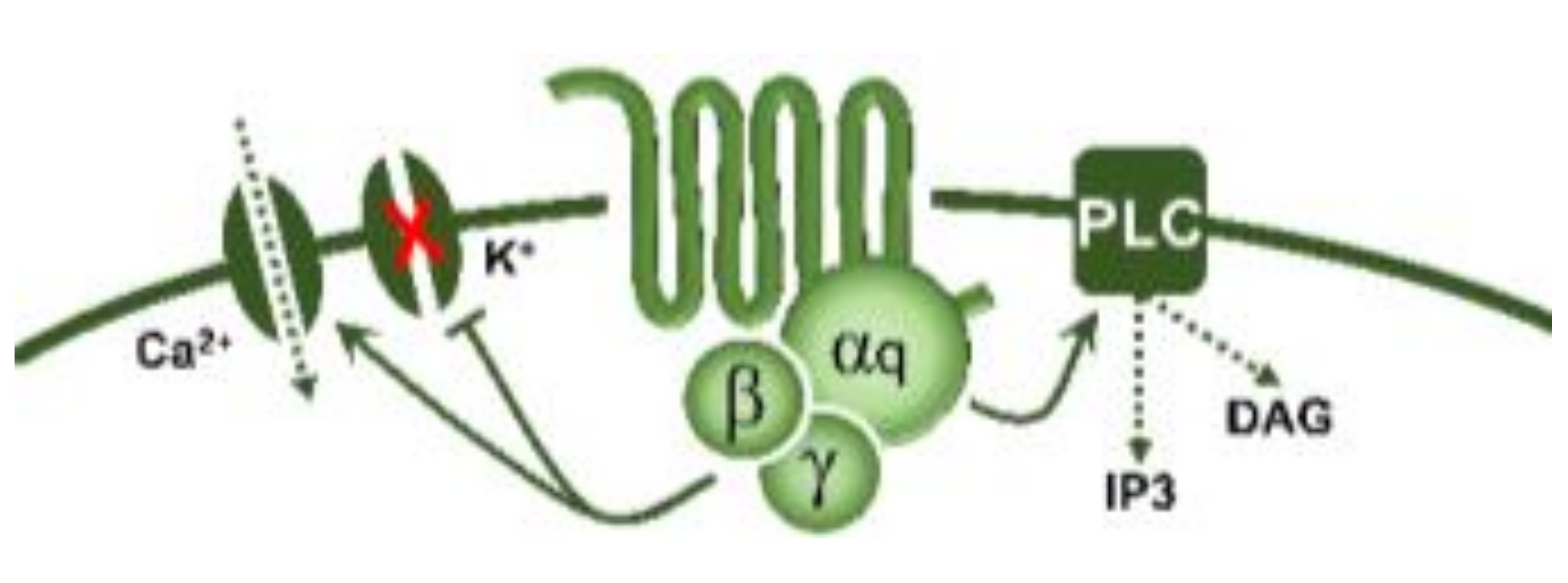 Biomedicines 11 01864 i003