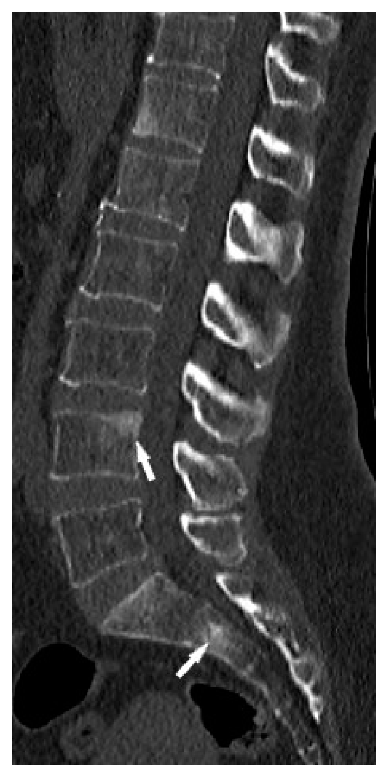 Biomedicines 11 01866 g002