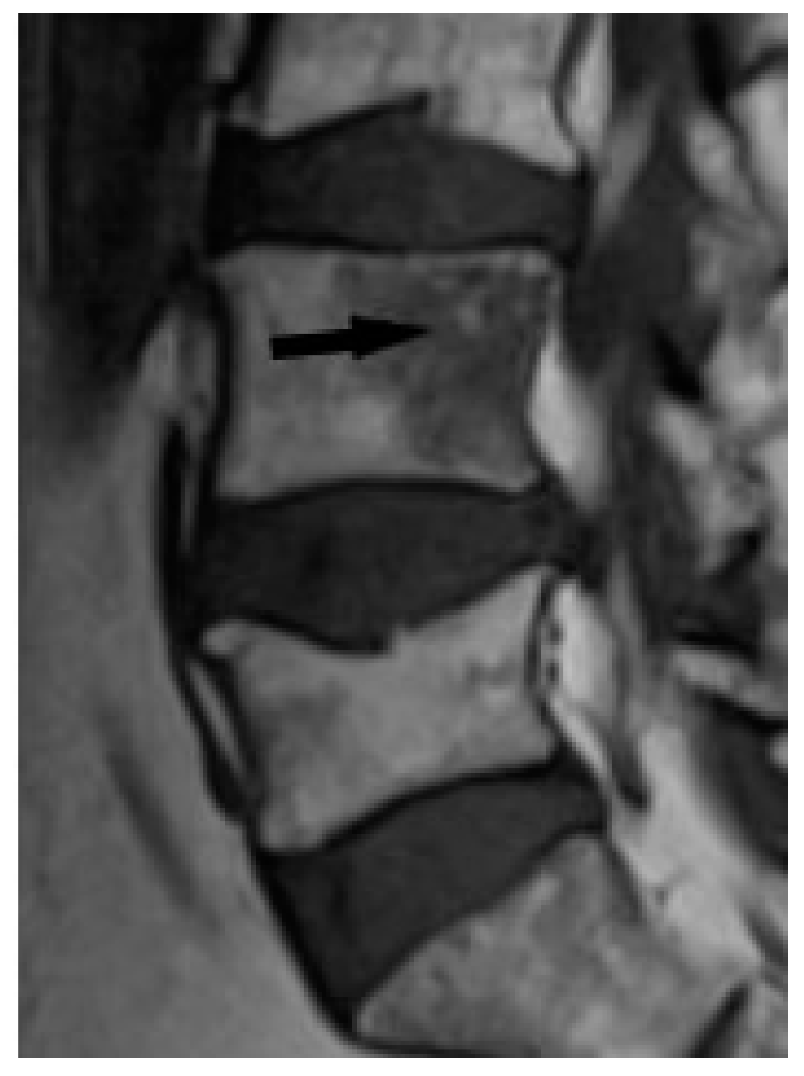 Biomedicines 11 01866 g009