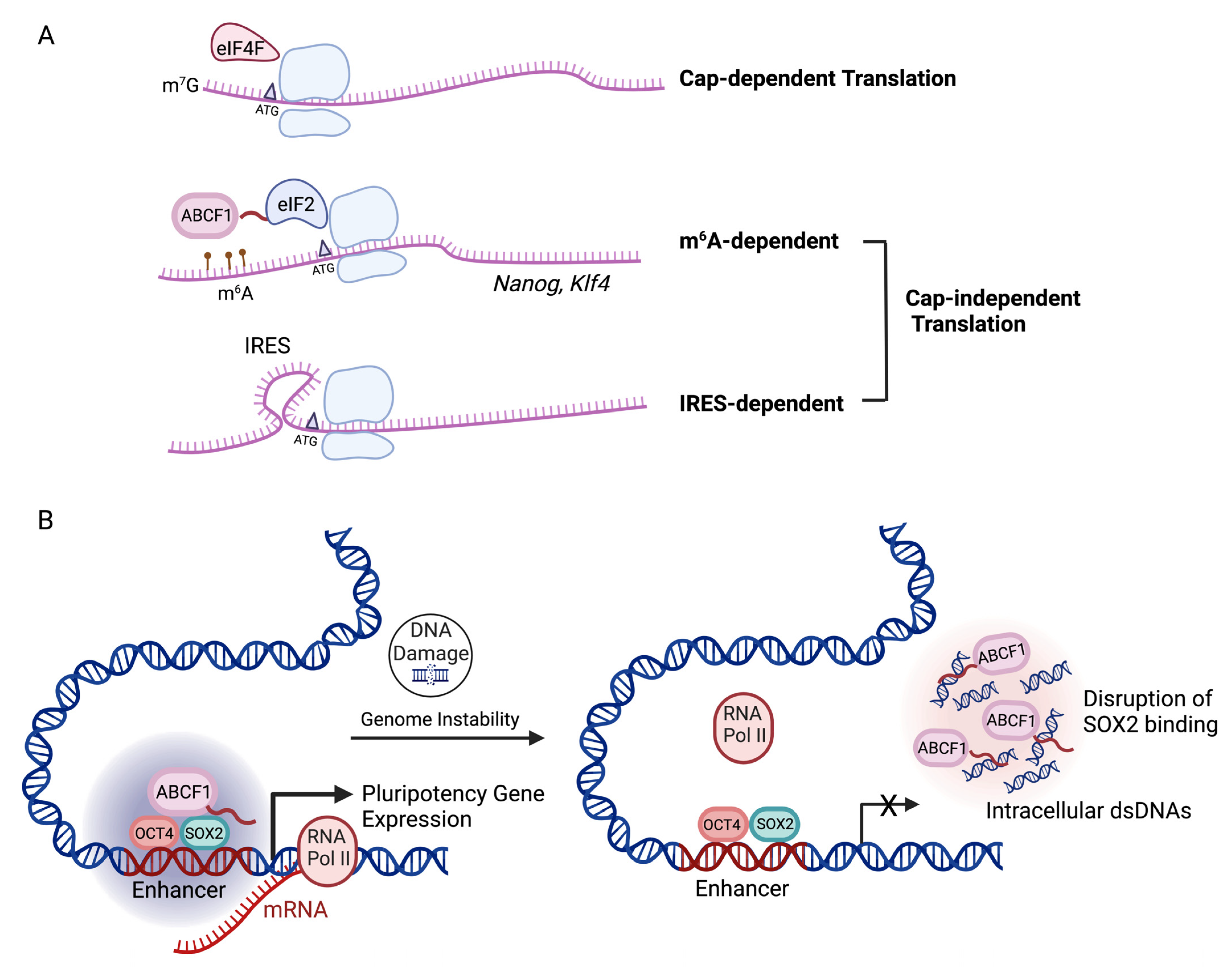 Biomedicines 11 01868 g002