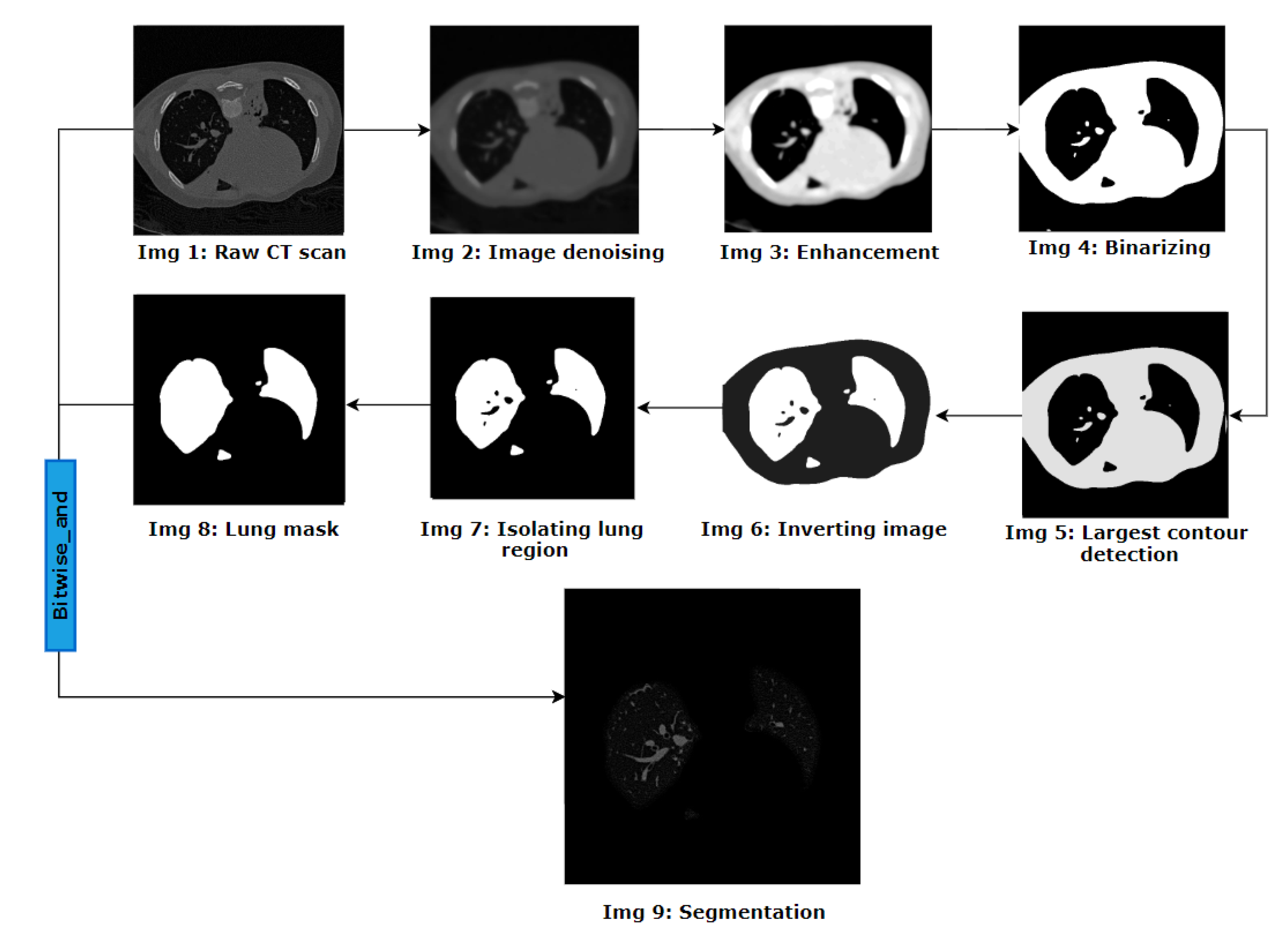 Biomedicines 11 01874 g004 Biomedicines 11 01874 g004