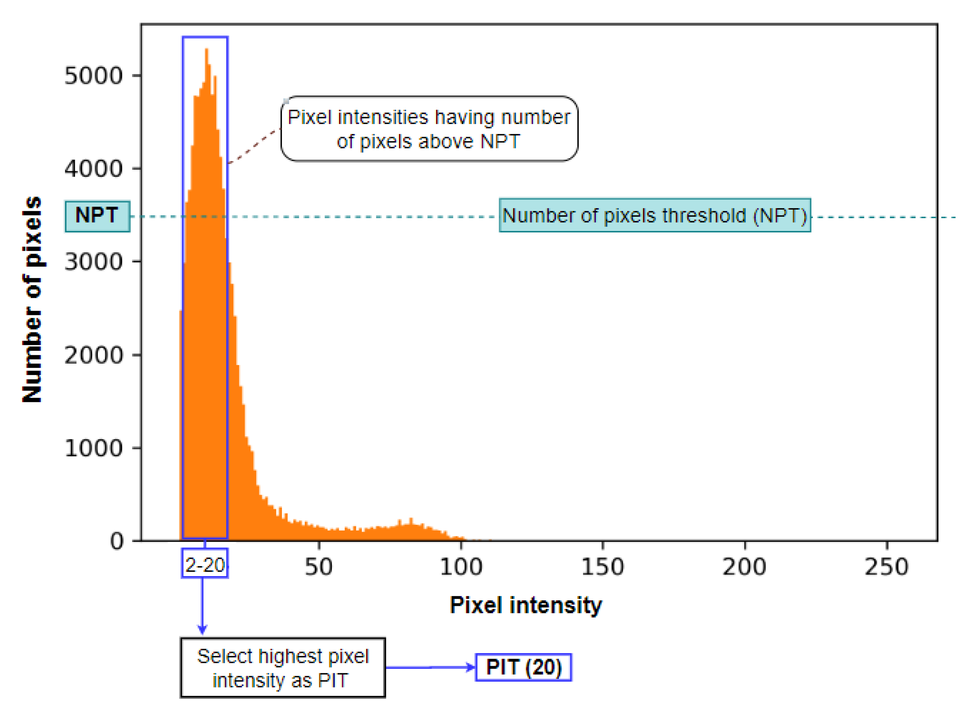 Biomedicines 11 01874 g007 Biomedicines 11 01874 g007