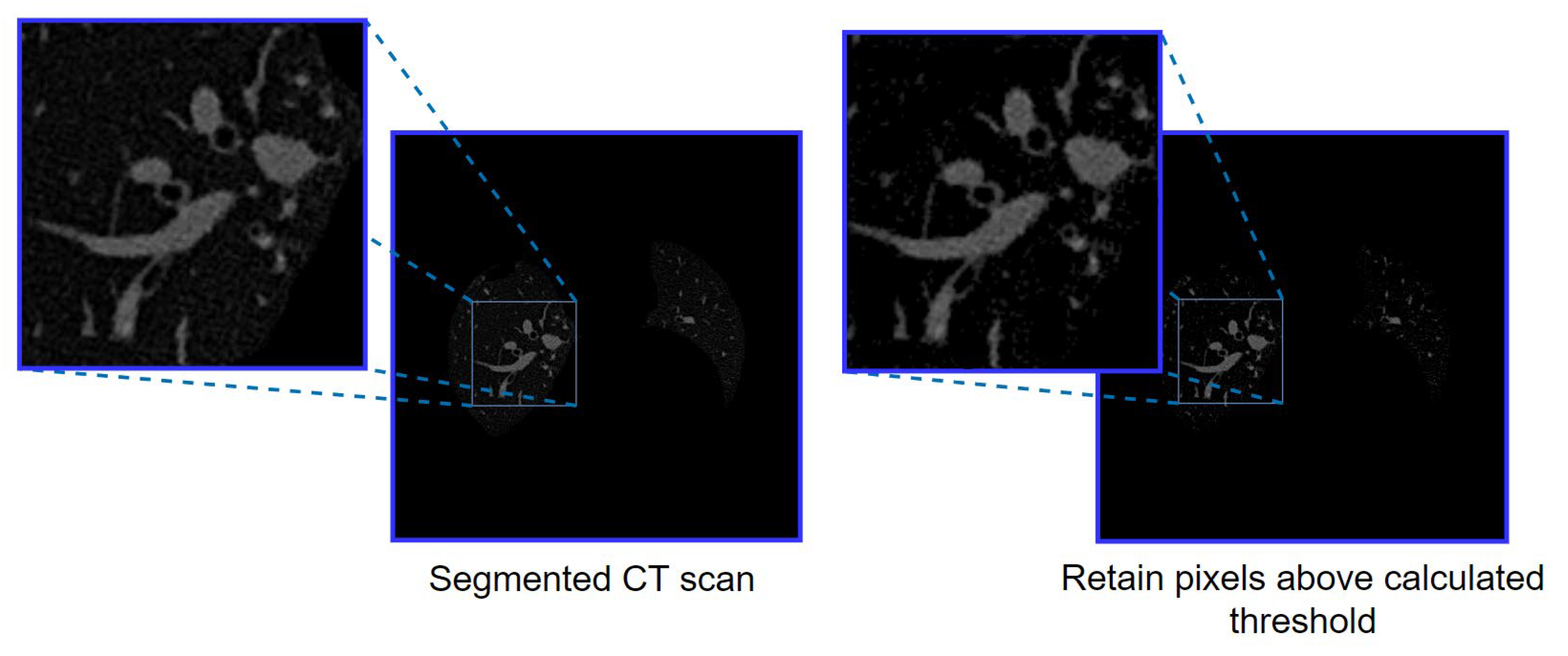 Biomedicines 11 01874 g008 Biomedicines 11 01874 g008