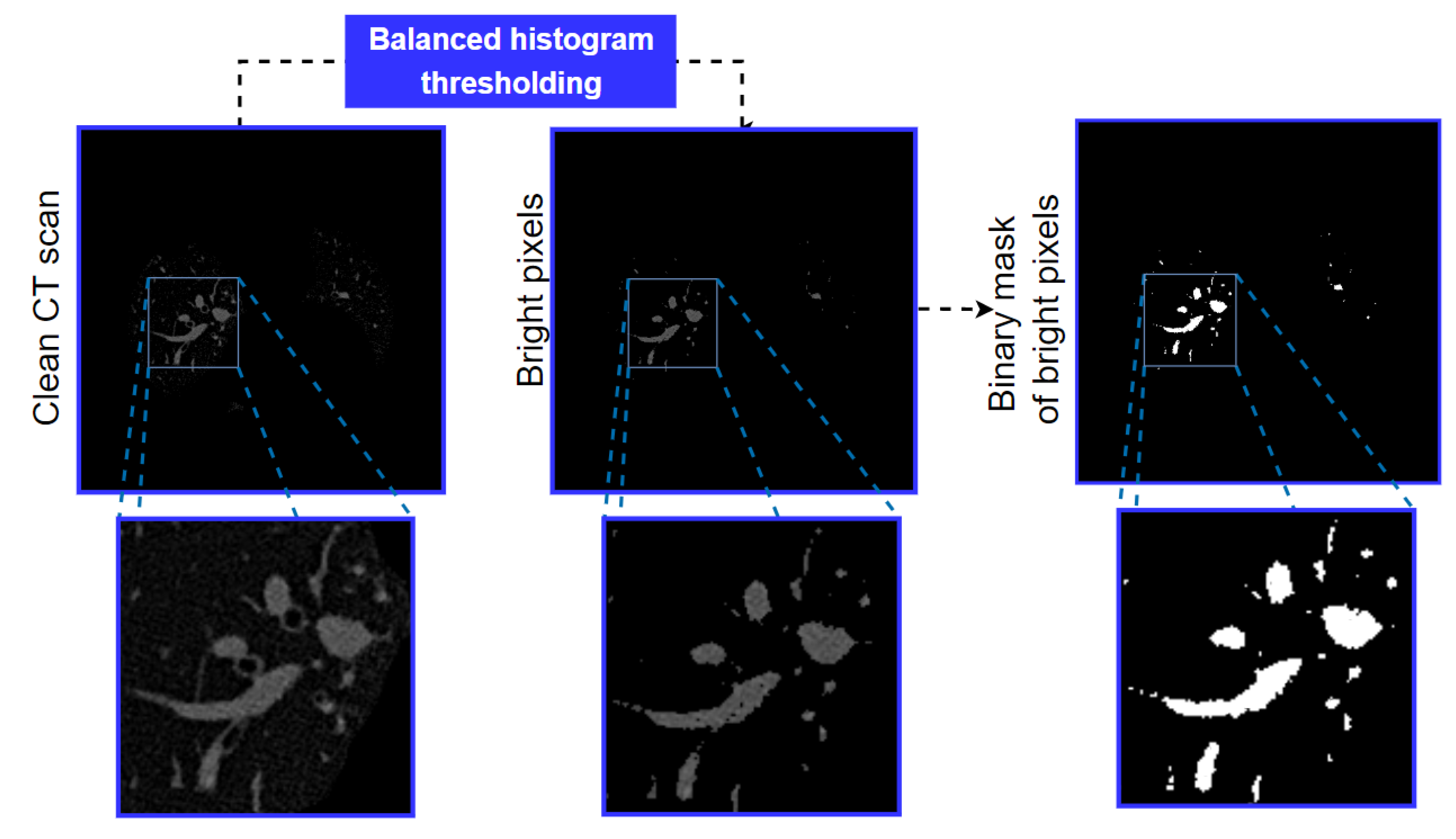 Biomedicines 11 01874 g009 Biomedicines 11 01874 g009