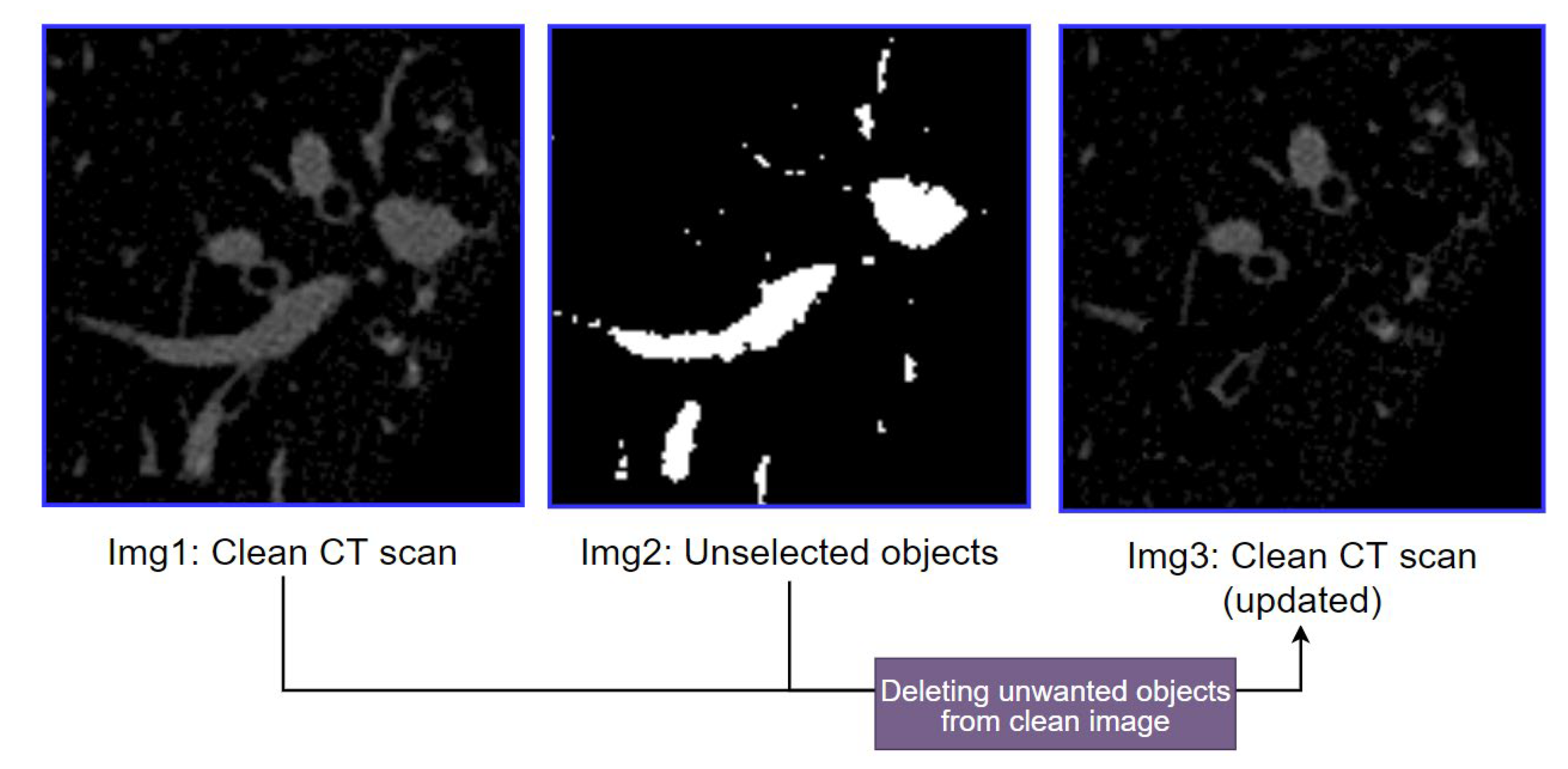 Biomedicines 11 01874 g011 Biomedicines 11 01874 g011