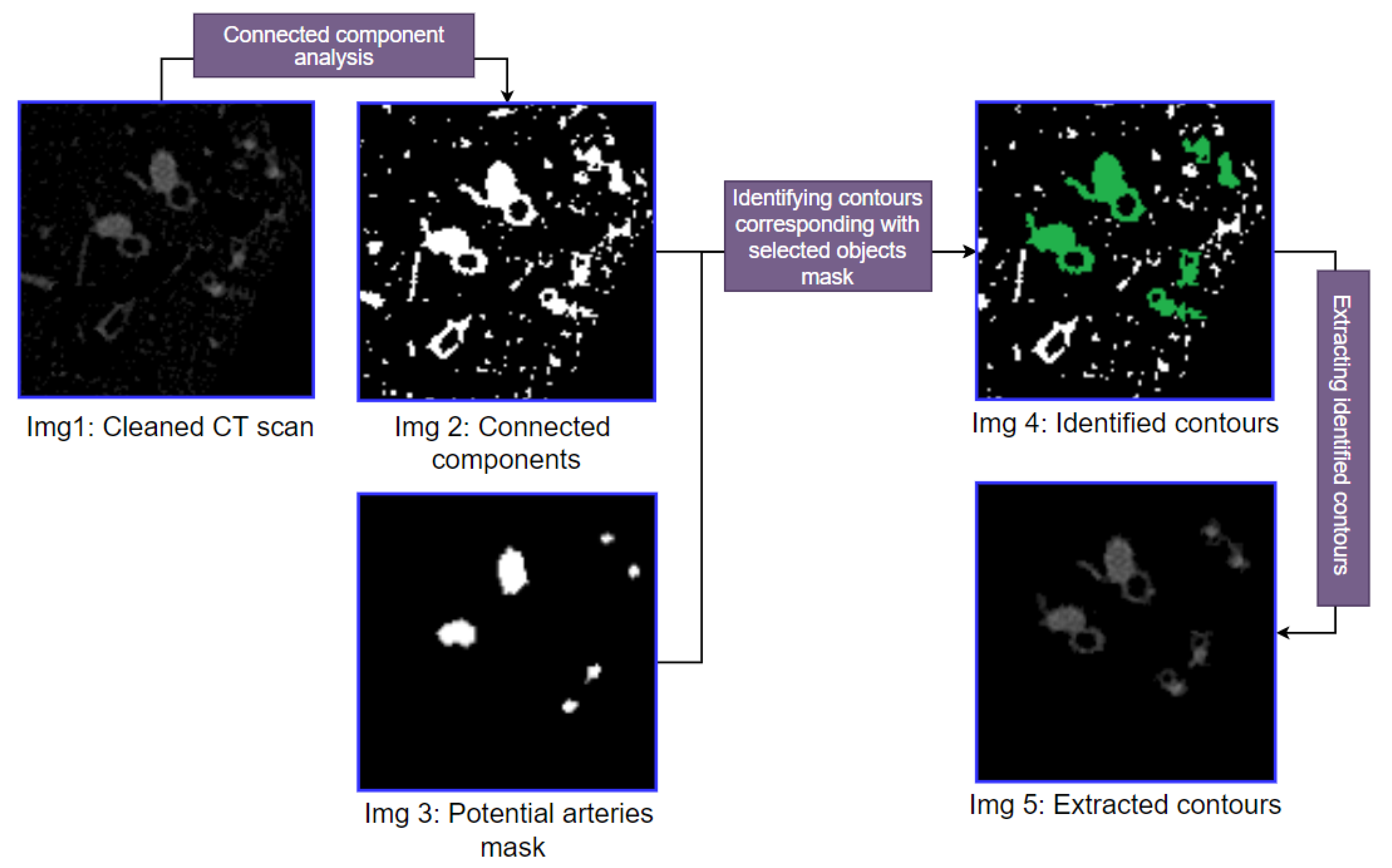 Biomedicines 11 01874 g012 Biomedicines 11 01874 g012