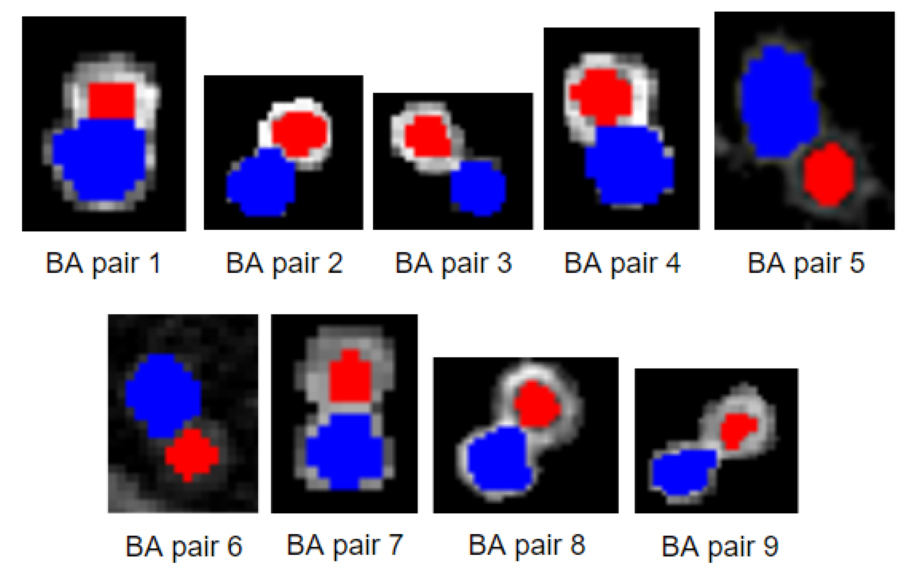 Biomedicines 11 01874 g017 Biomedicines 11 01874 g017