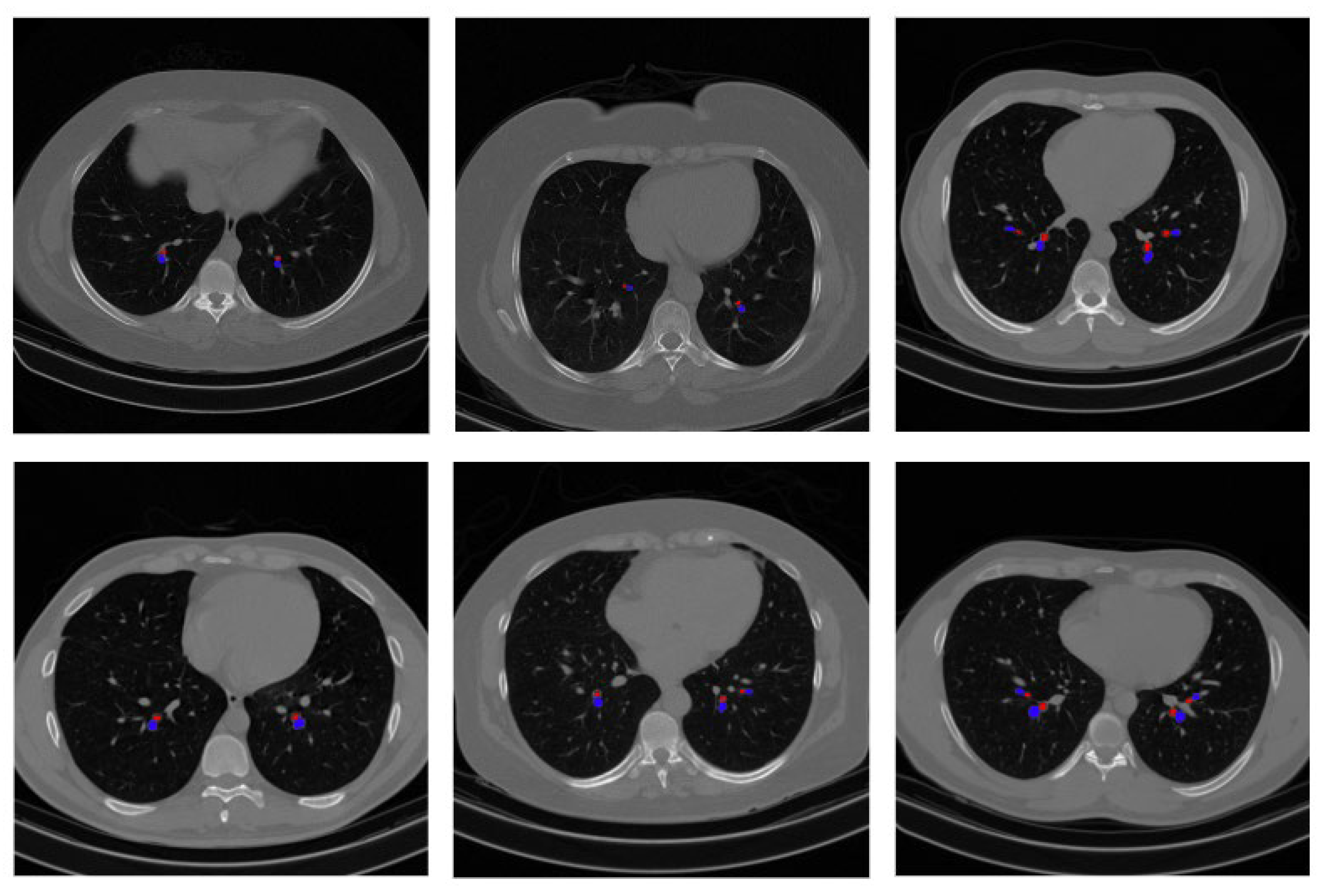 Biomedicines 11 01874 g018 Biomedicines 11 01874 g018
