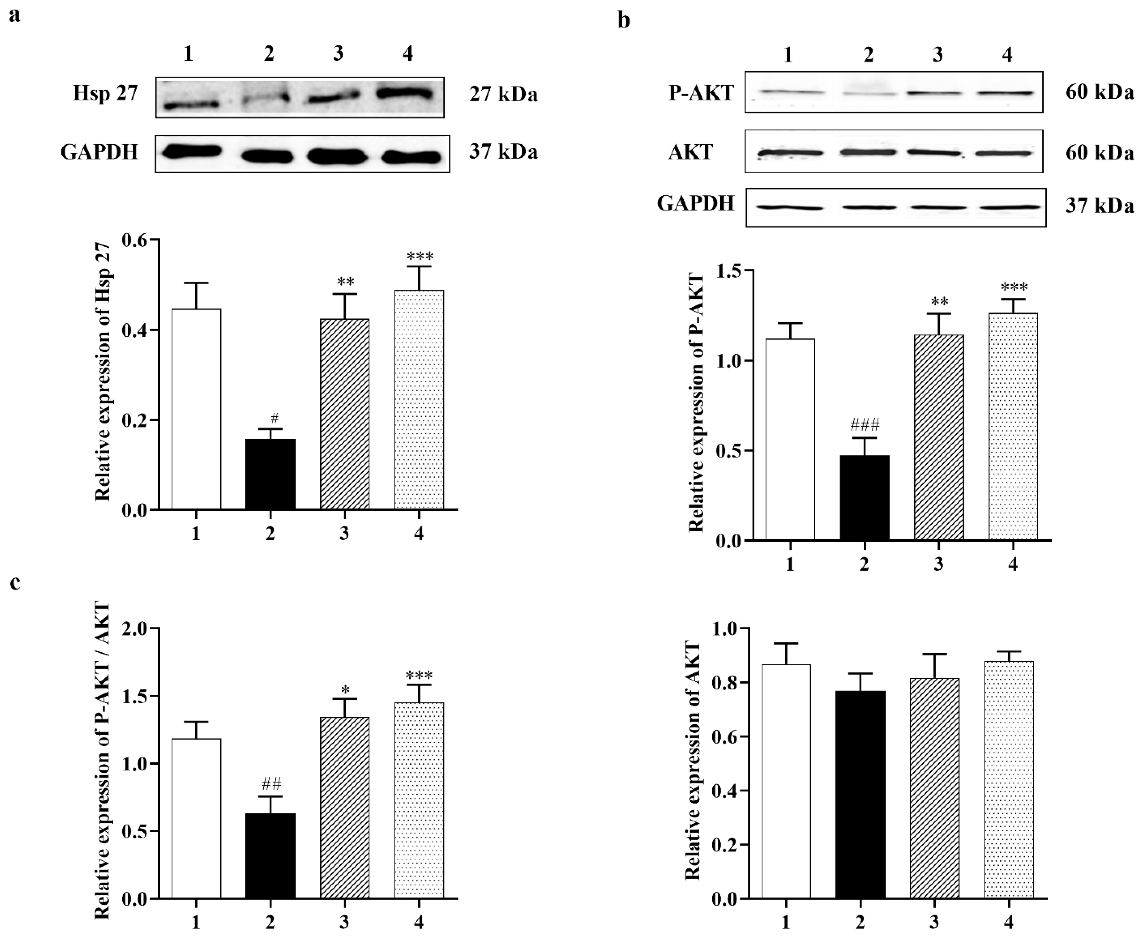 Biomedicines 11 01885 g002 Biomedicines 11 01885 g002