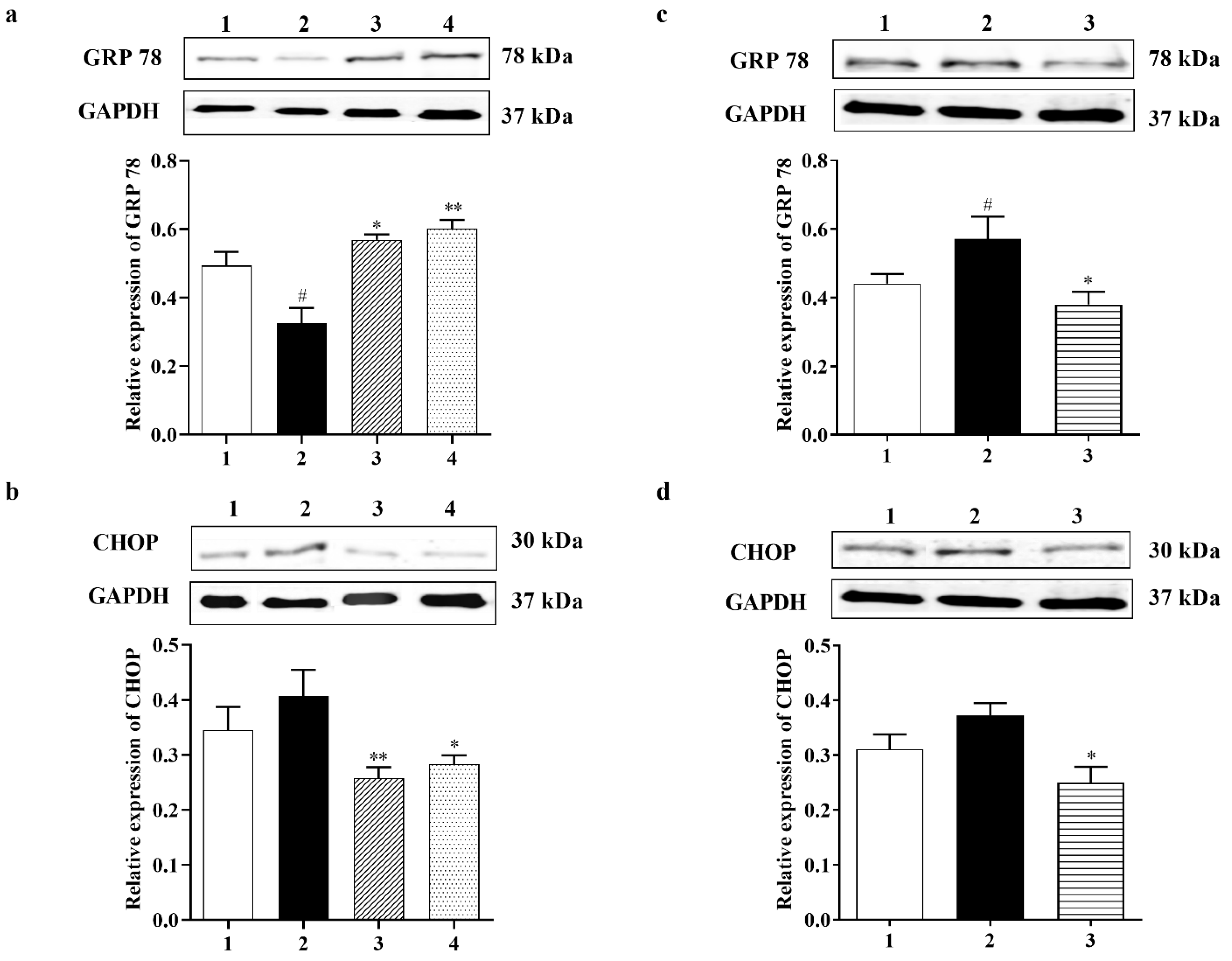 Biomedicines 11 01885 g004 Biomedicines 11 01885 g004