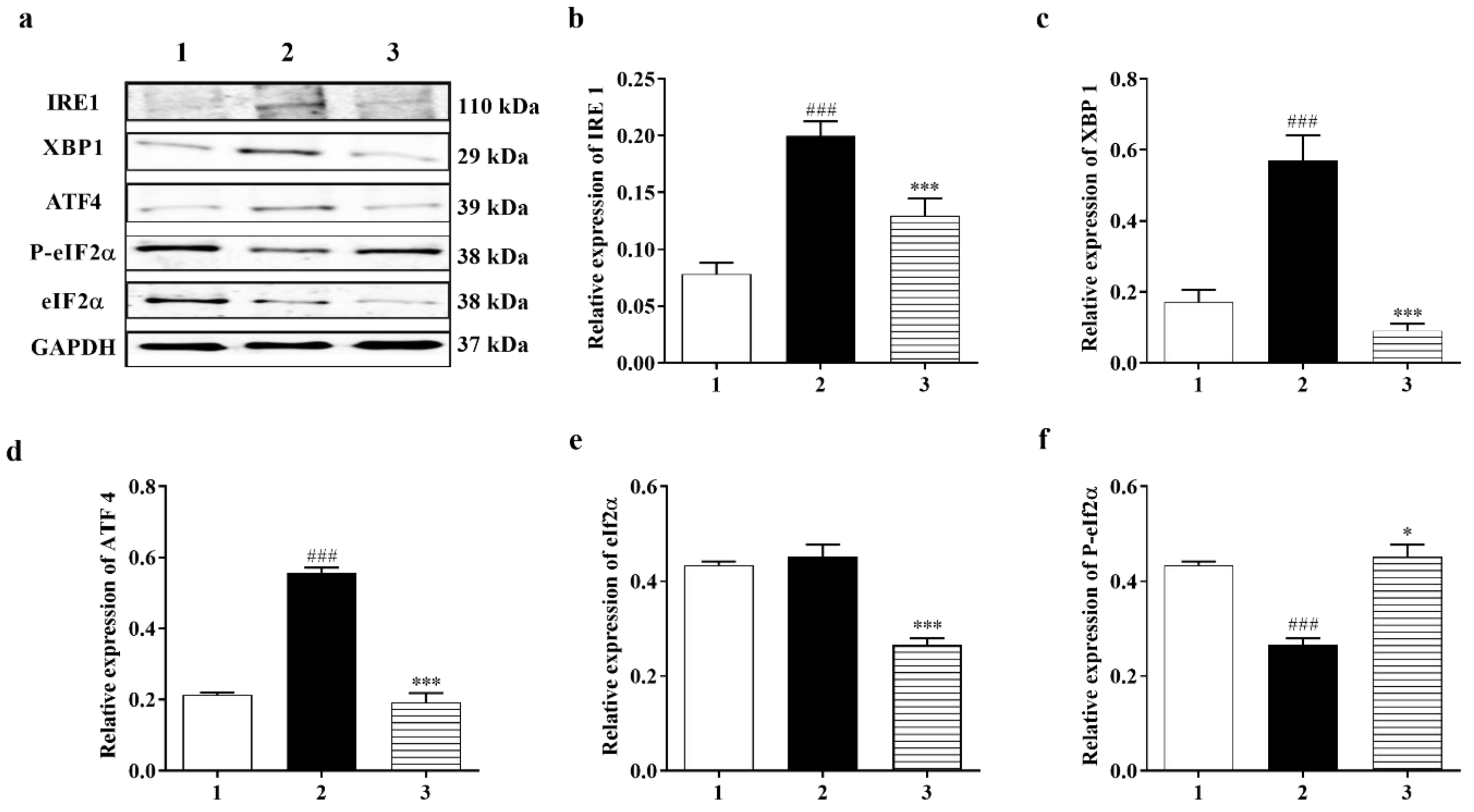 Biomedicines 11 01885 g006a Biomedicines 11 01885 g006a