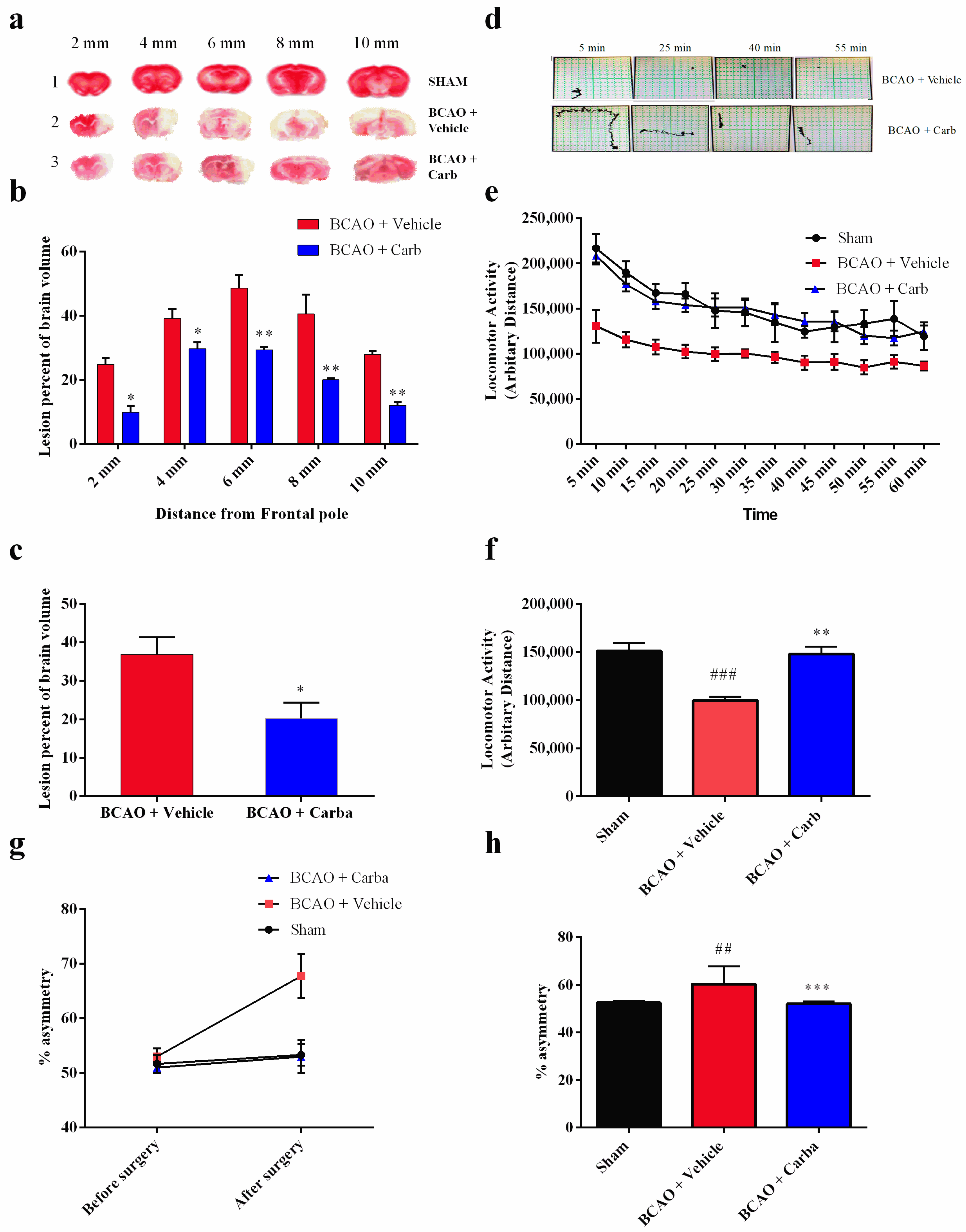 Biomedicines 11 01885 g009 Biomedicines 11 01885 g009