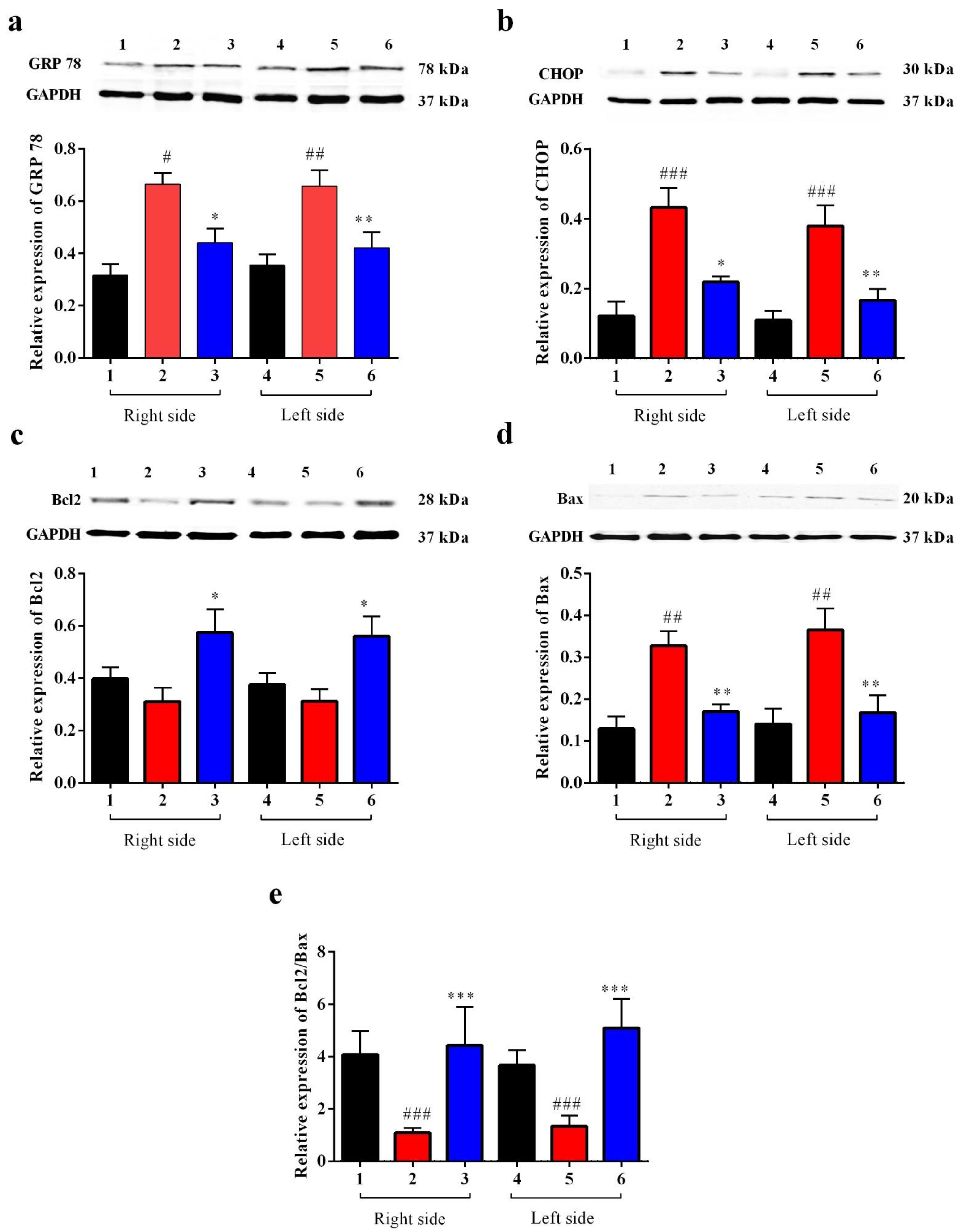 Biomedicines 11 01885 g010 Biomedicines 11 01885 g010
