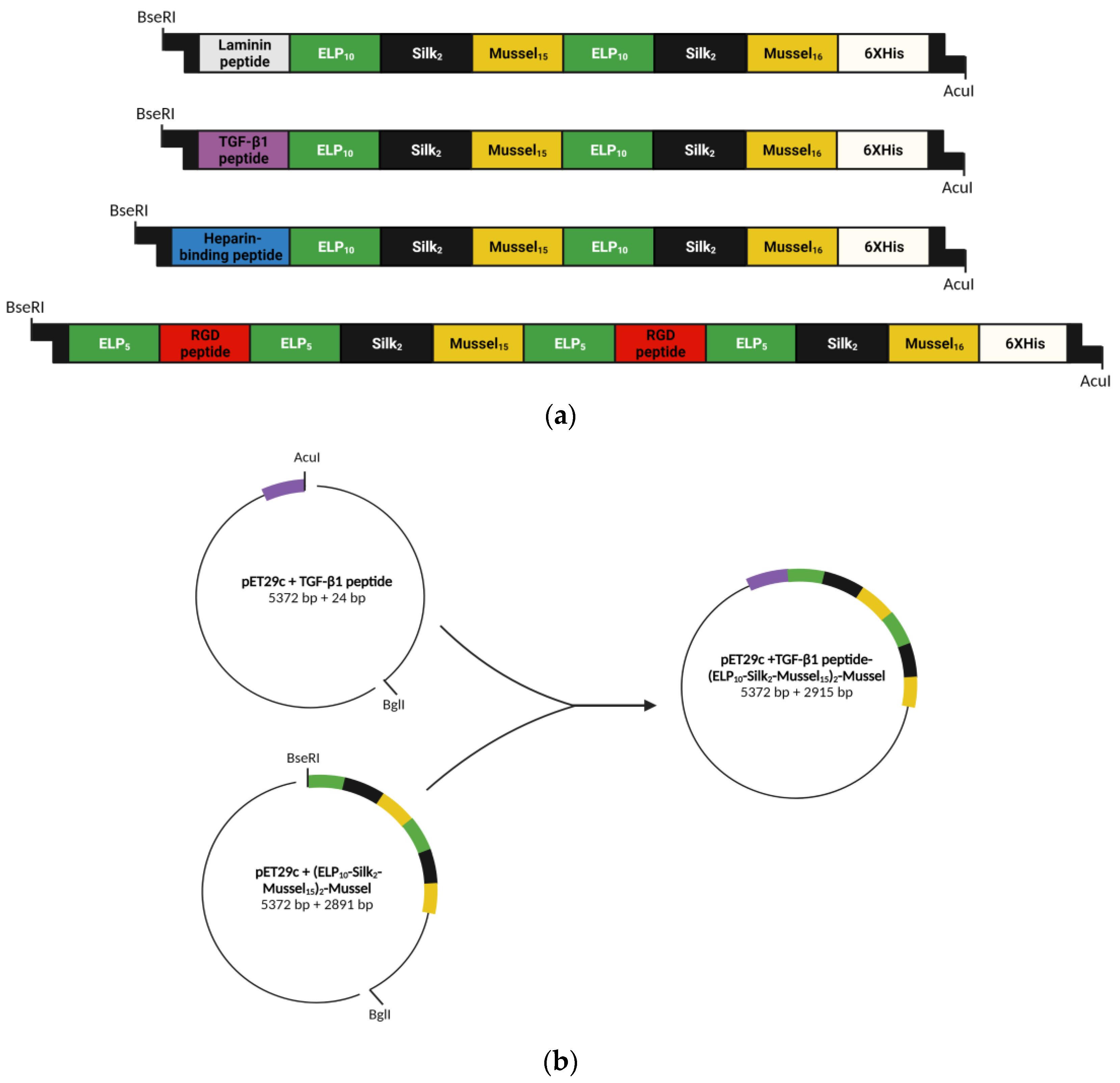 Biomedicines 11 01890 g001