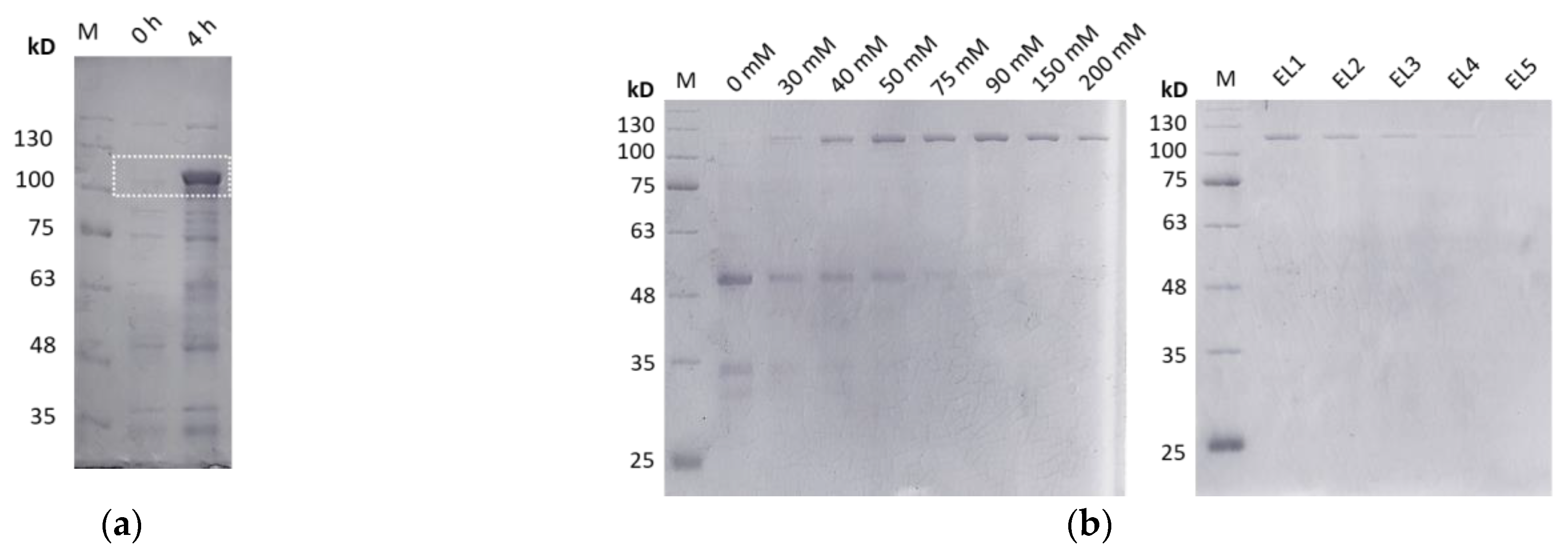 Biomedicines 11 01890 g002