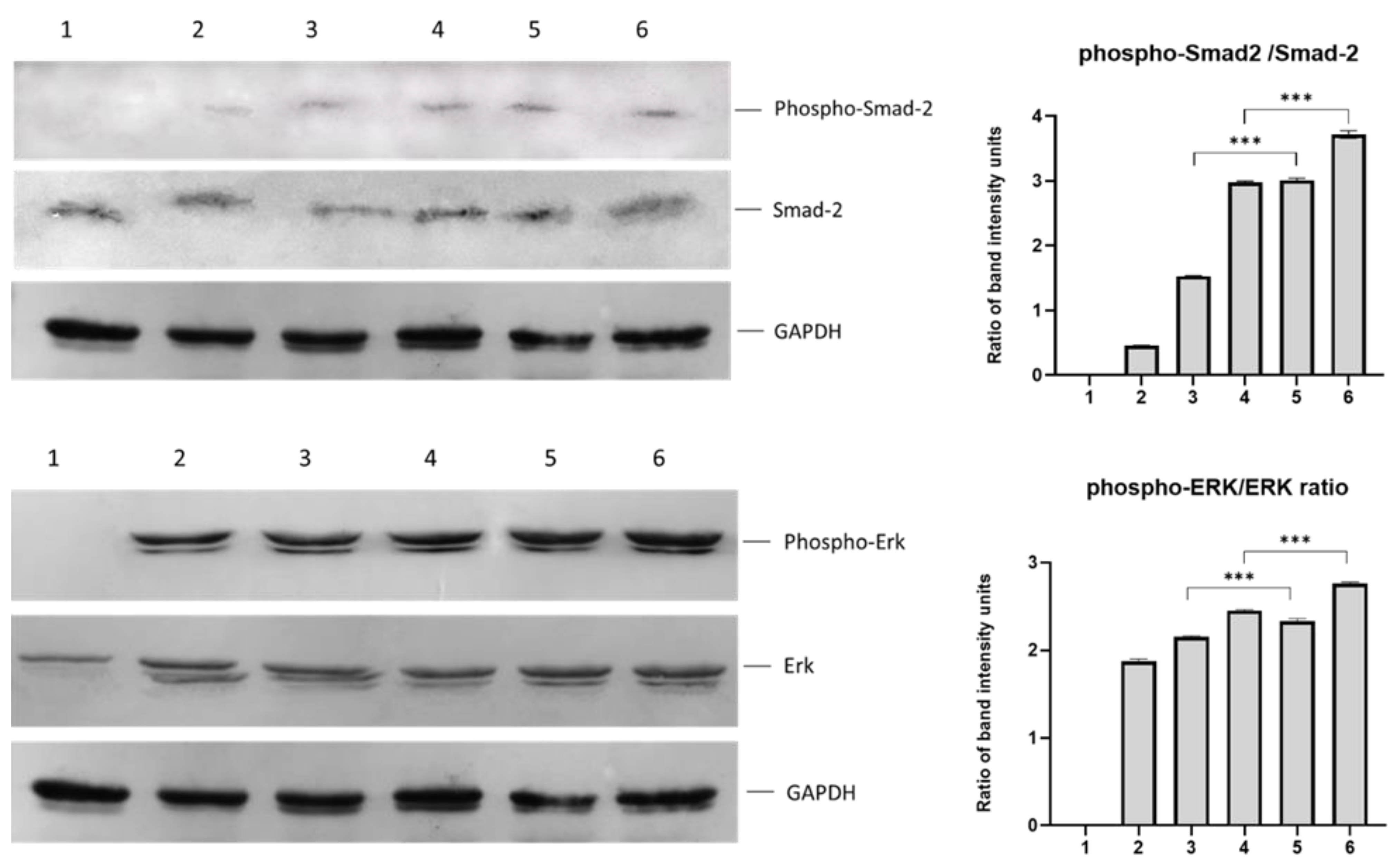 Biomedicines 11 01890 g012