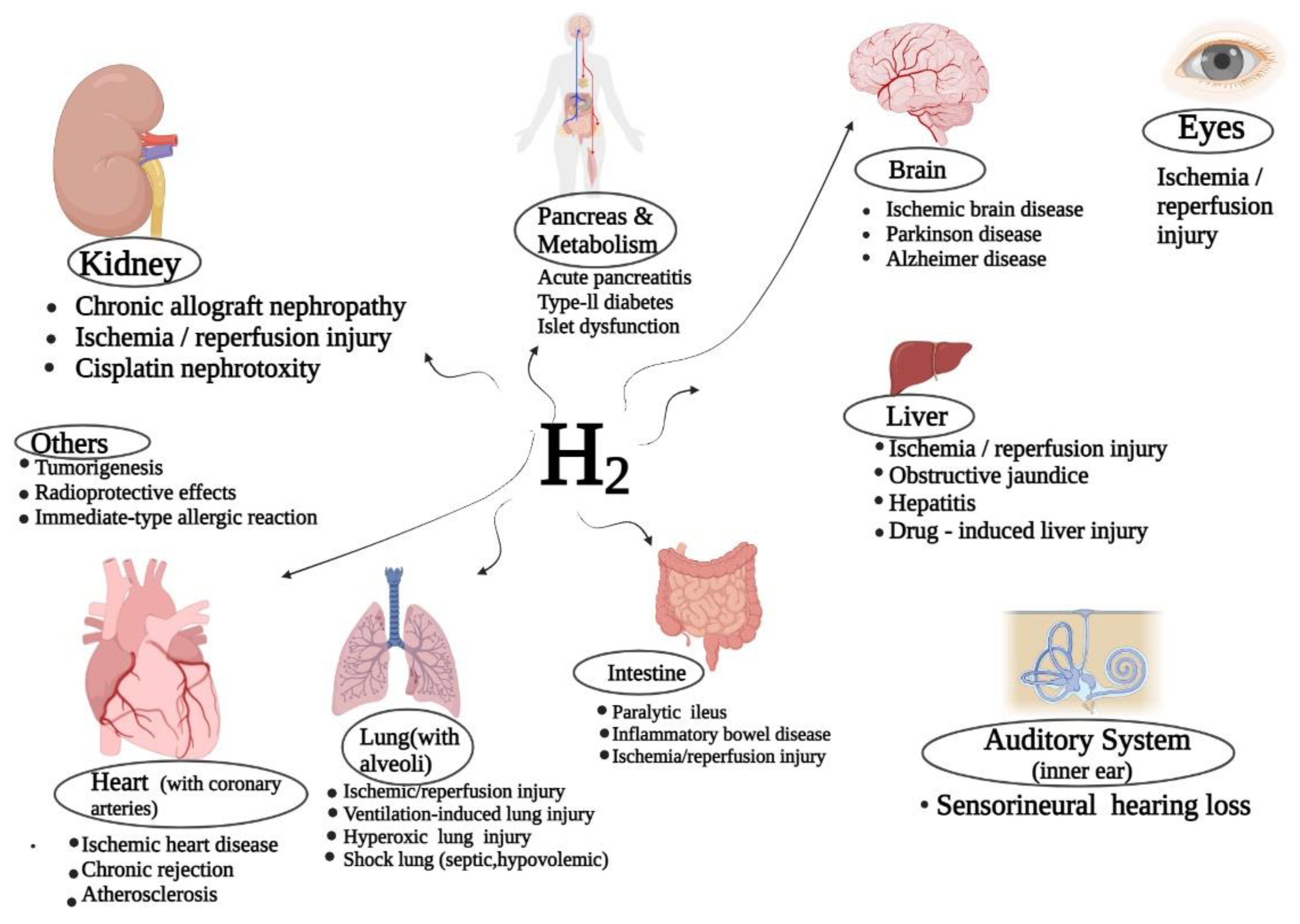 Biomedicines, Free Full-Text