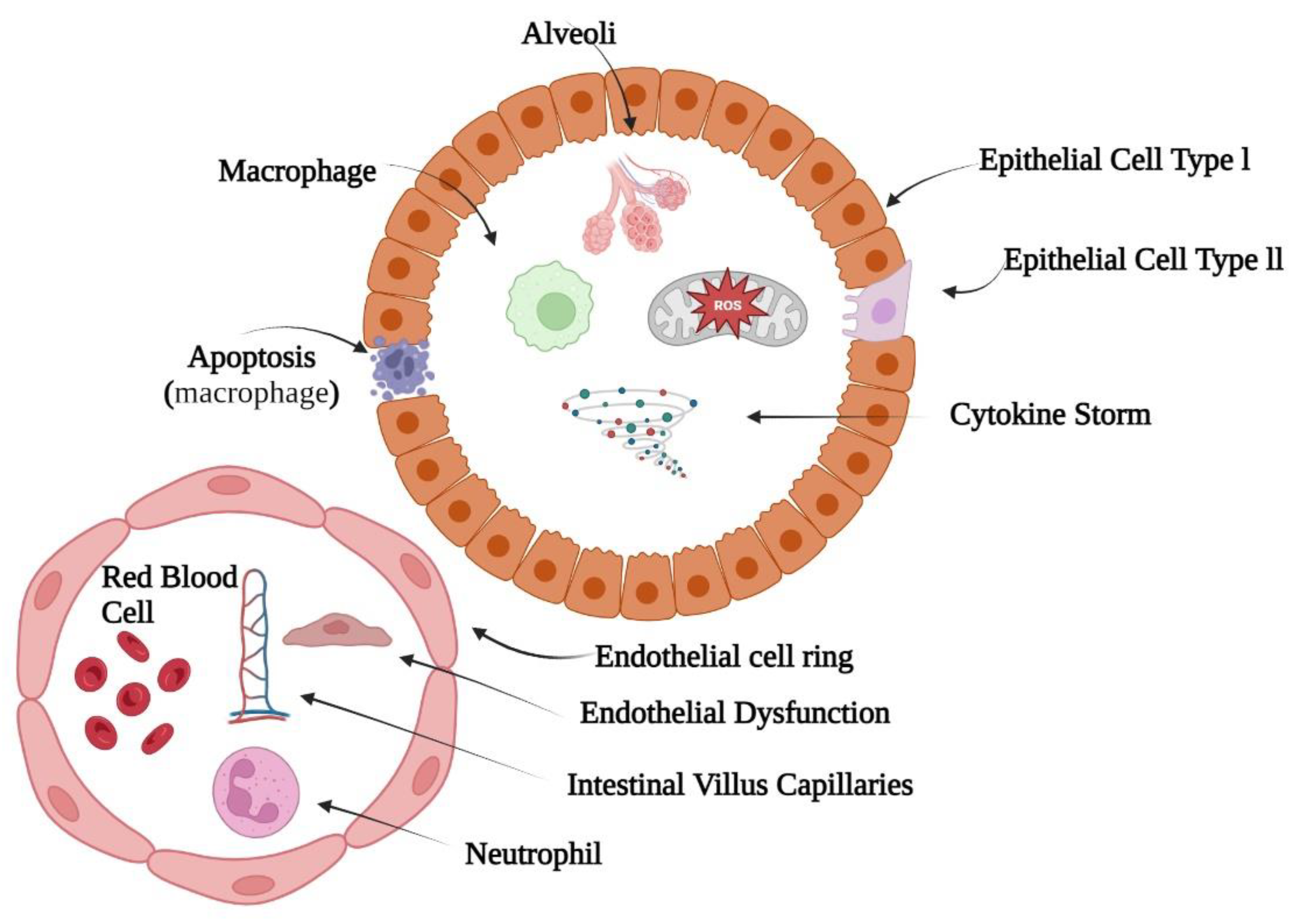 Biomedicines 11 01892 g002 Biomedicines 11 01892 g002
