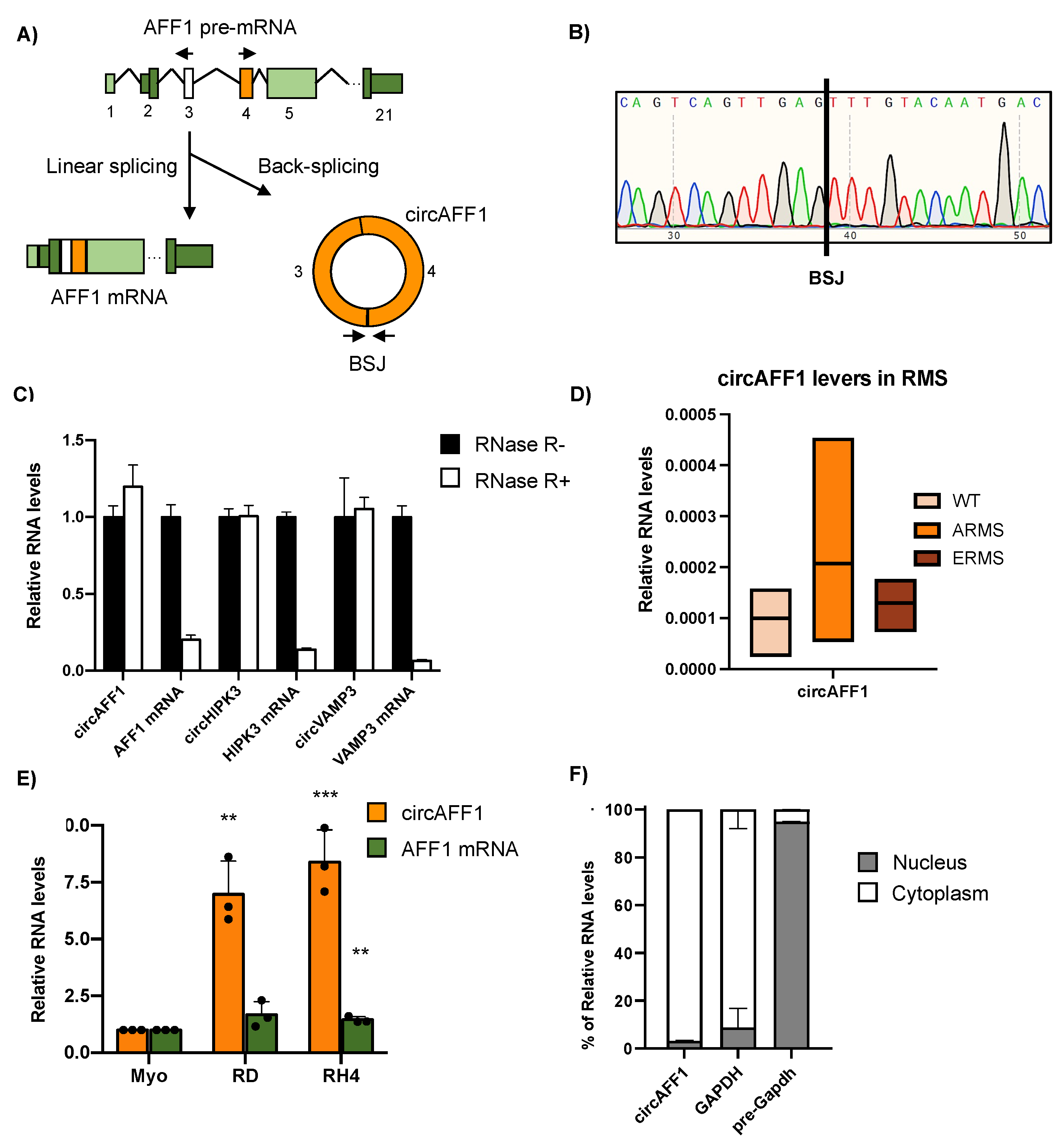 Biomedicines 11 01893 g001