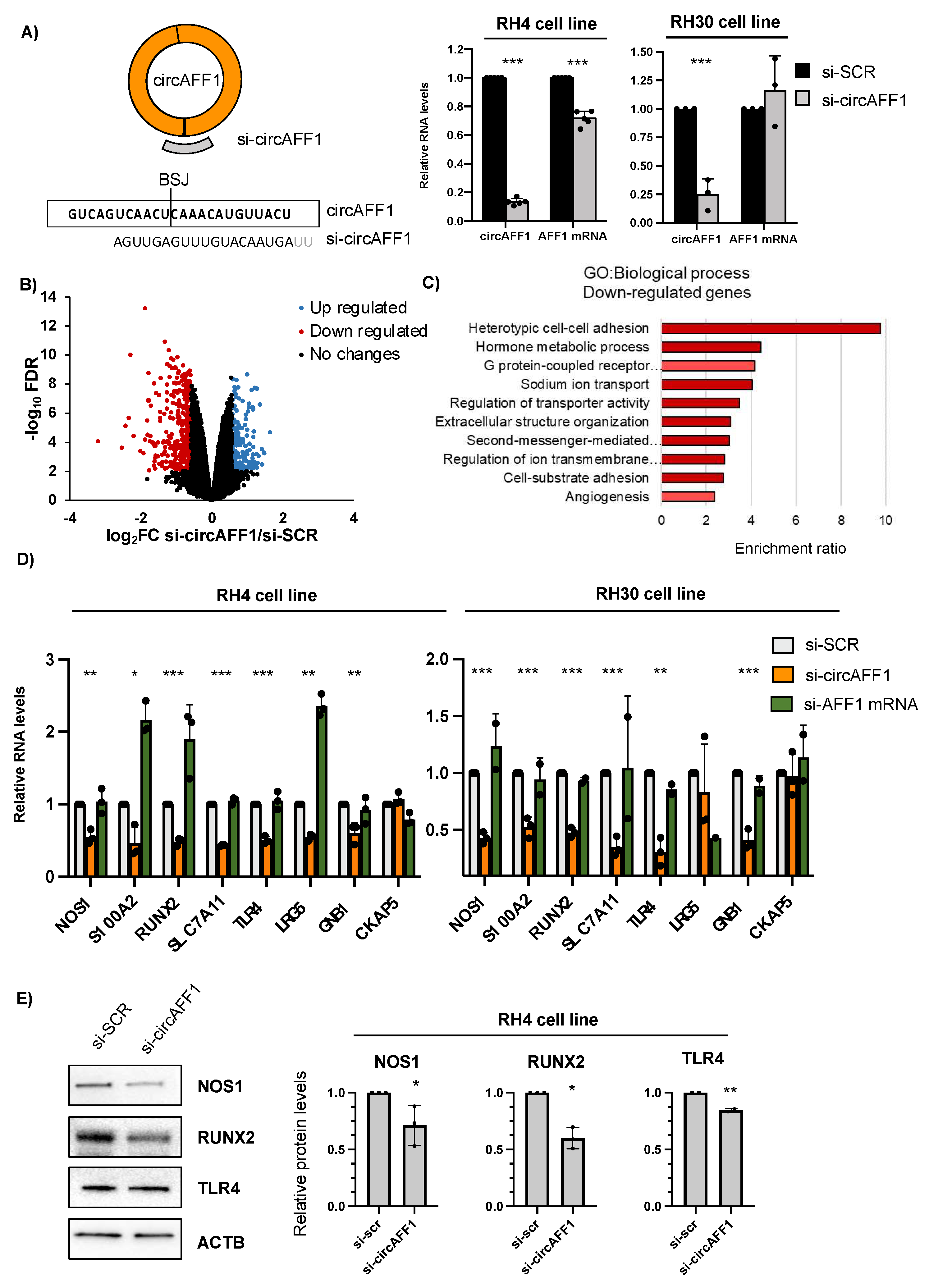 Biomedicines 11 01893 g002