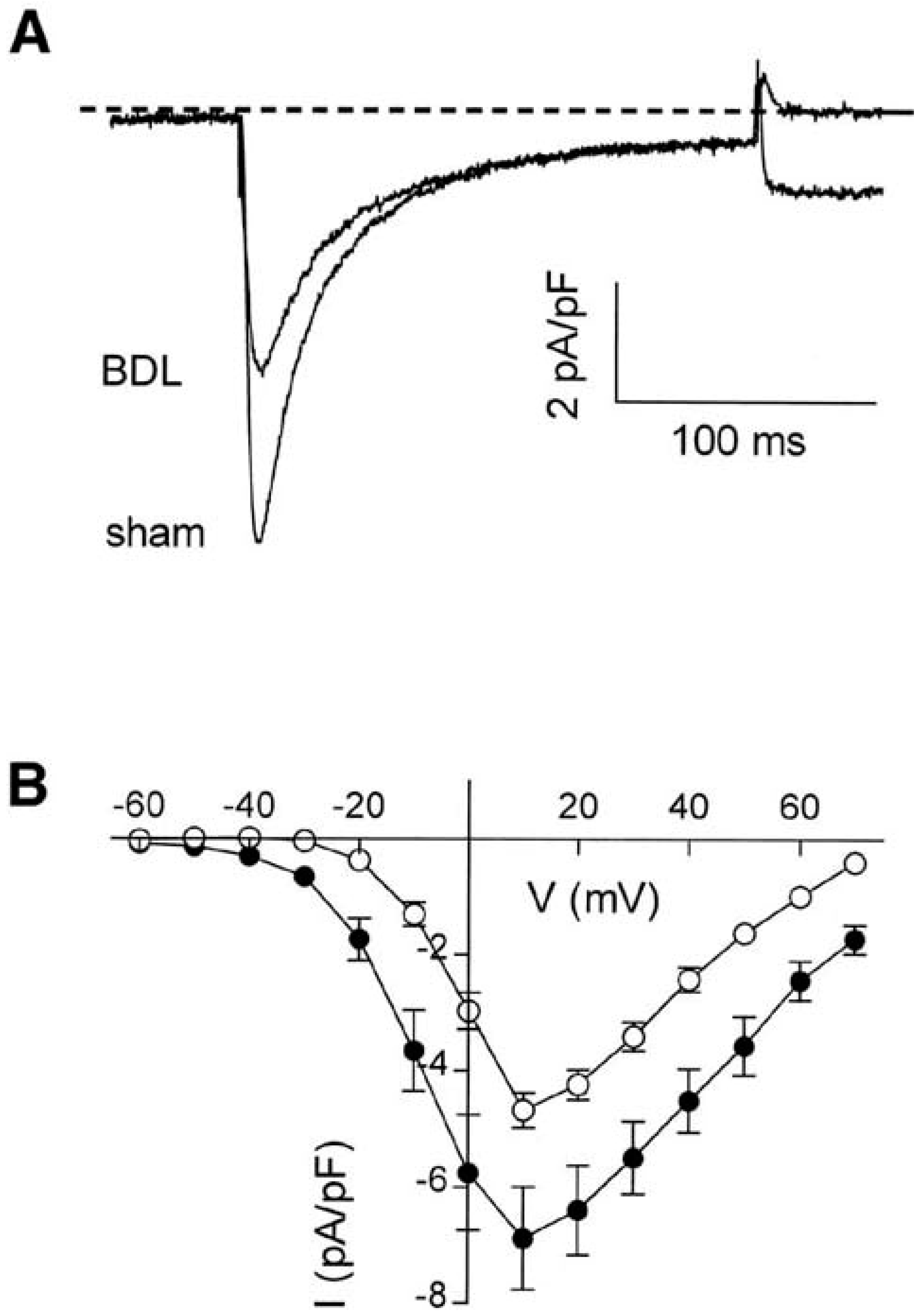 Biomedicines 11 01895 g003