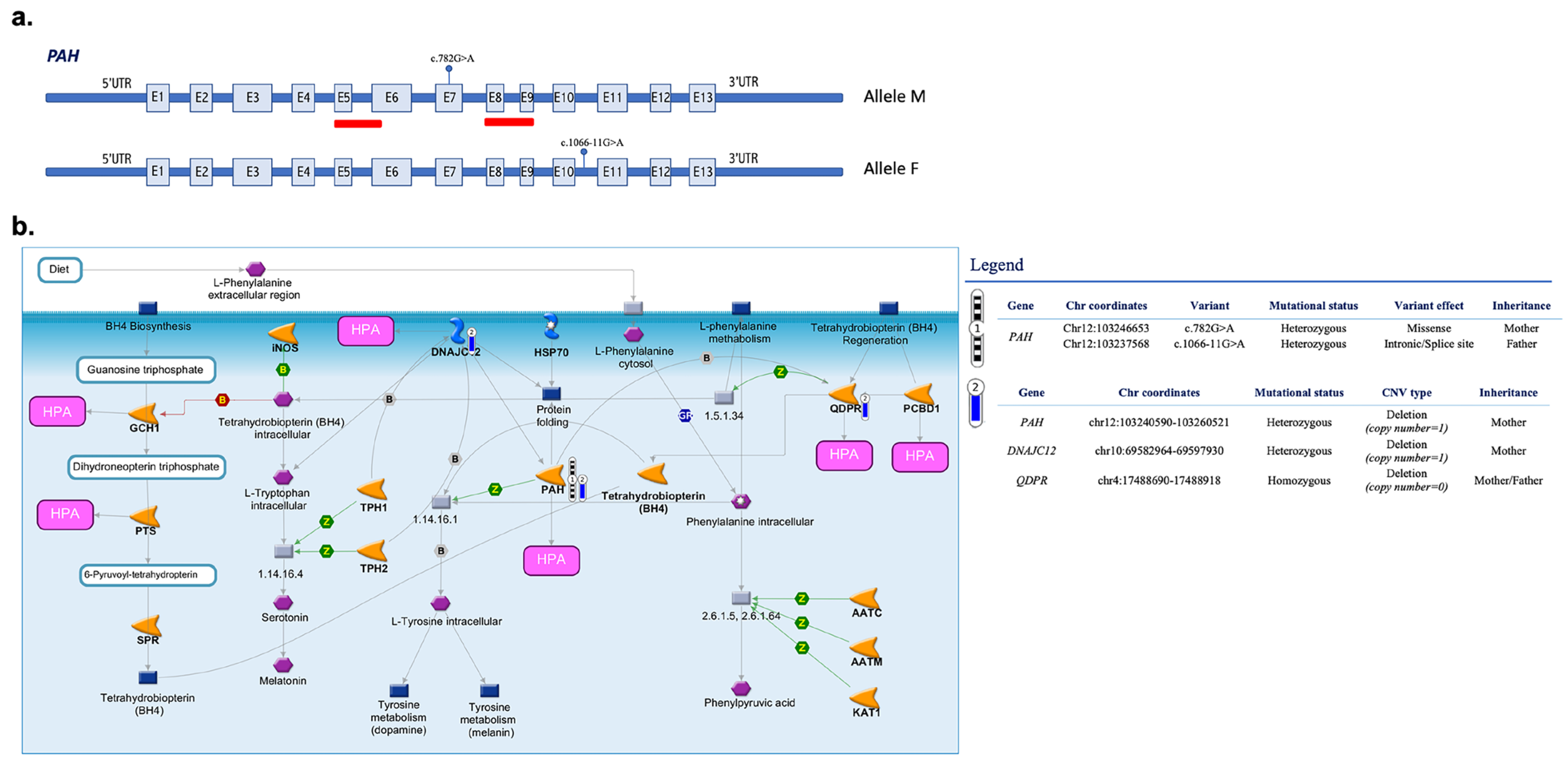 Biomedicines 11 01899 g003
