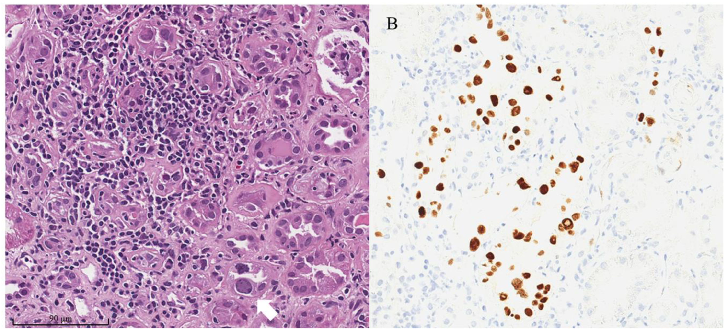 Biomedicines 11 01902 g002