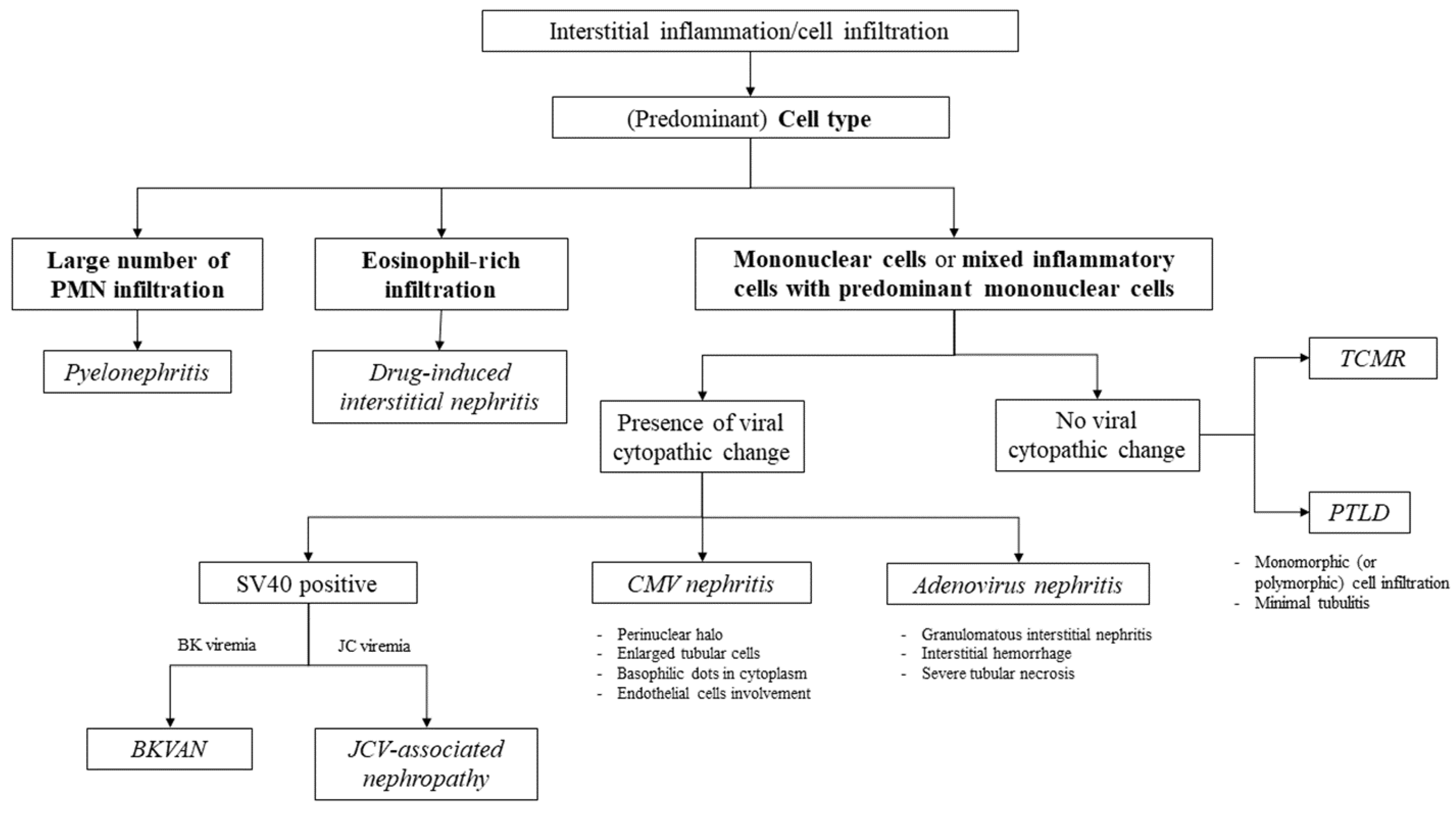 Biomedicines 11 01902 g006