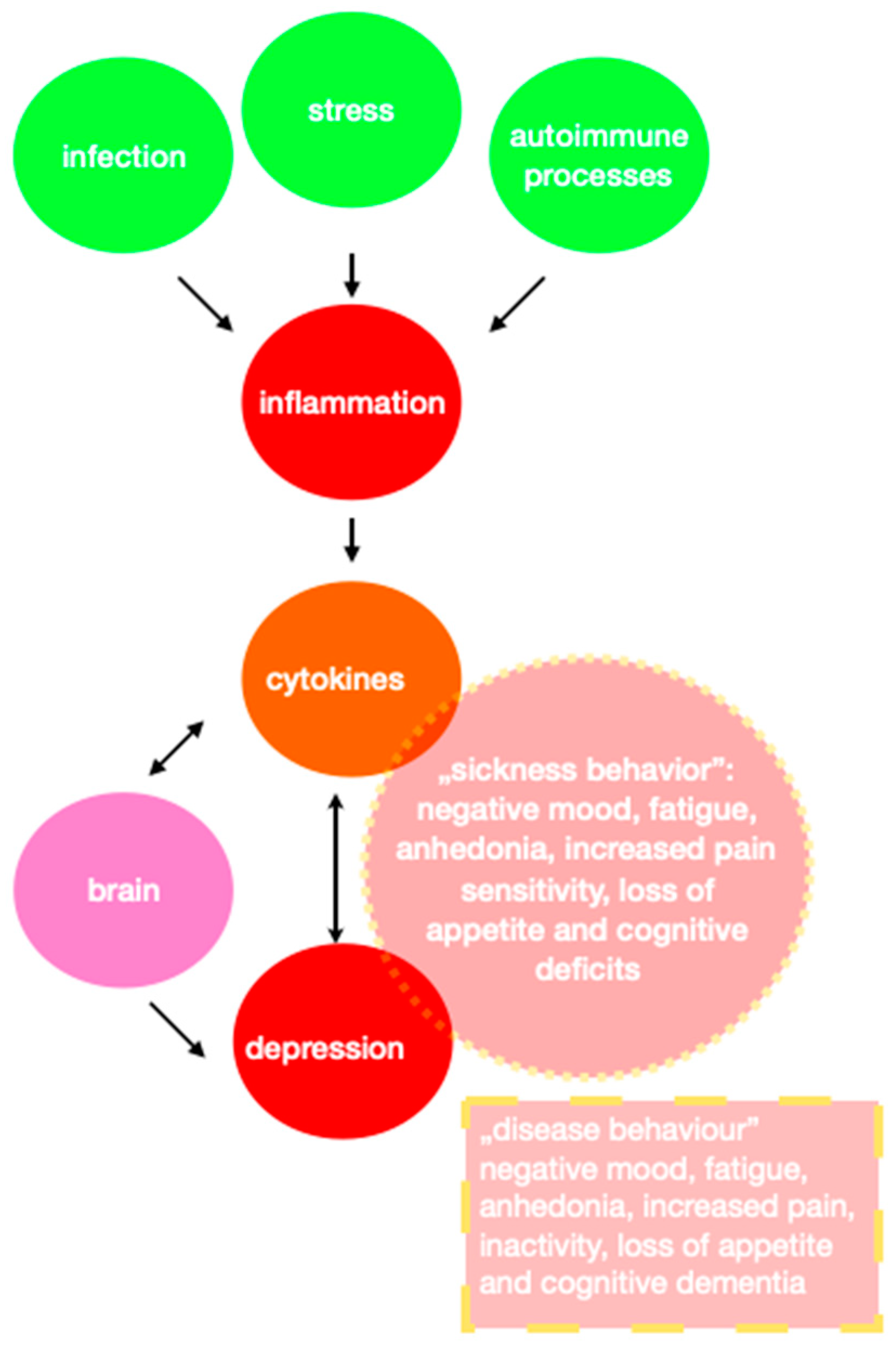 Grip strength may help predict depression