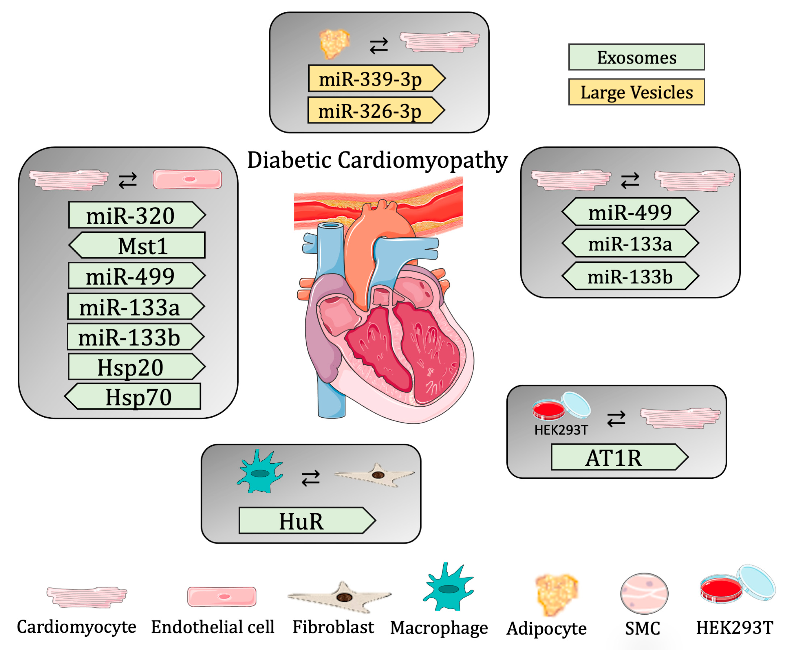 Biomedicines 11 01907 g002