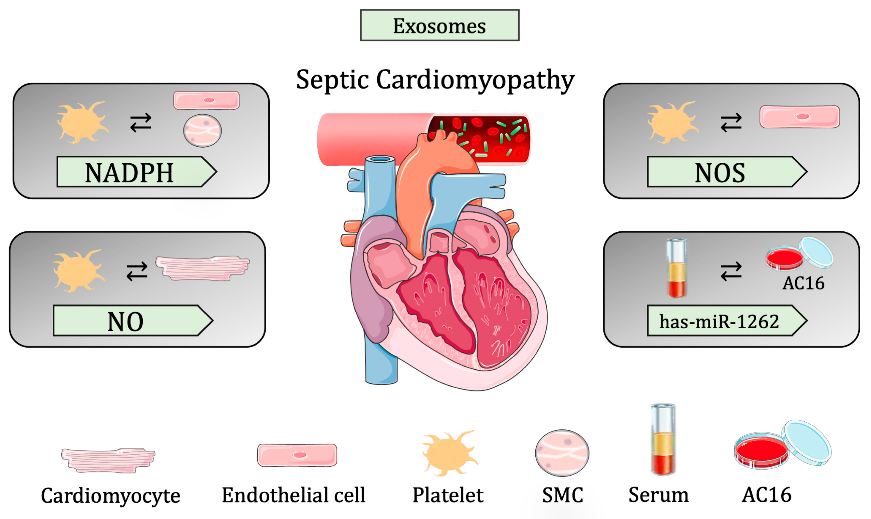 Biomedicines 11 01907 g003