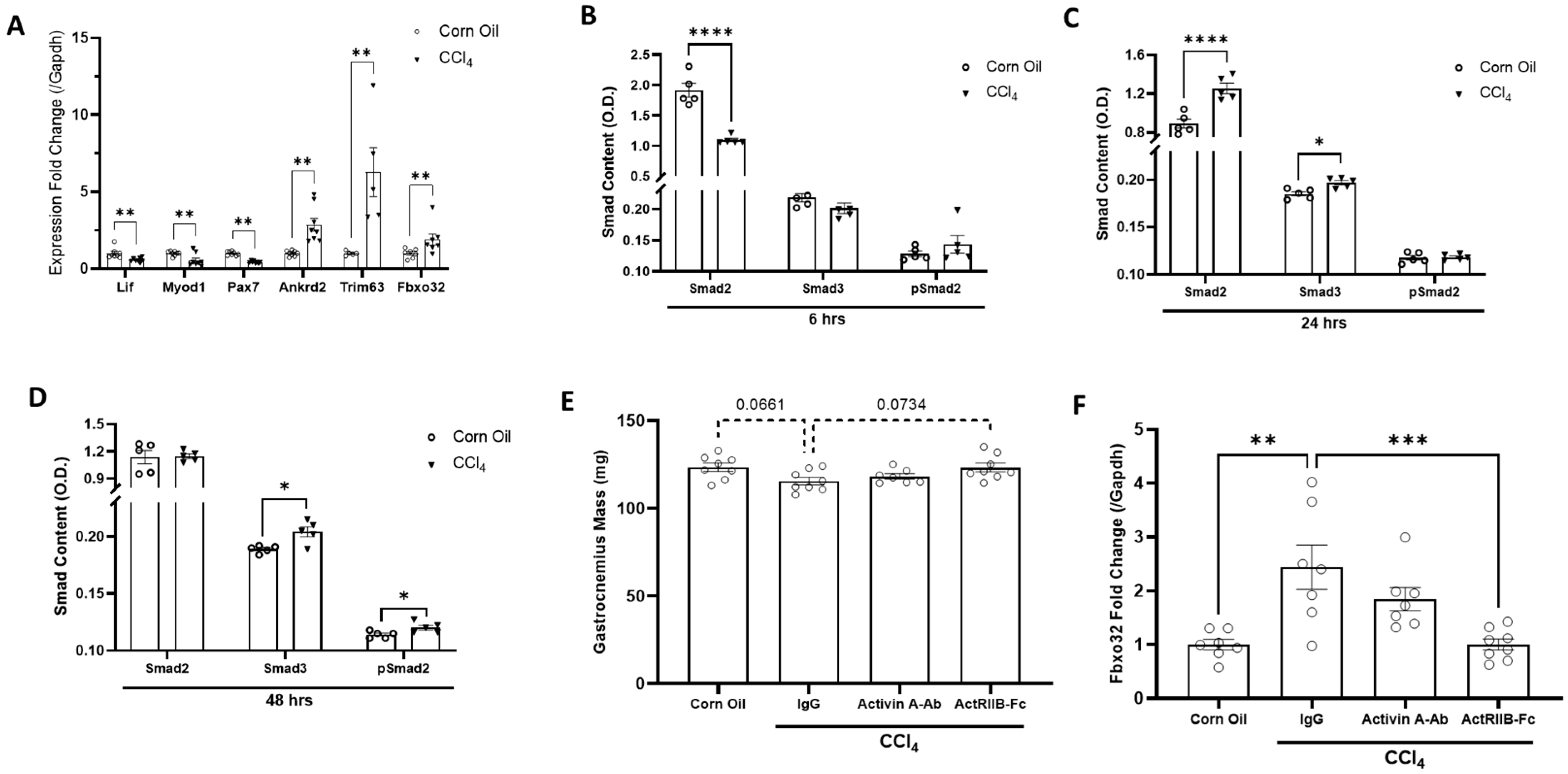 Biomedicines 11 01909 g001