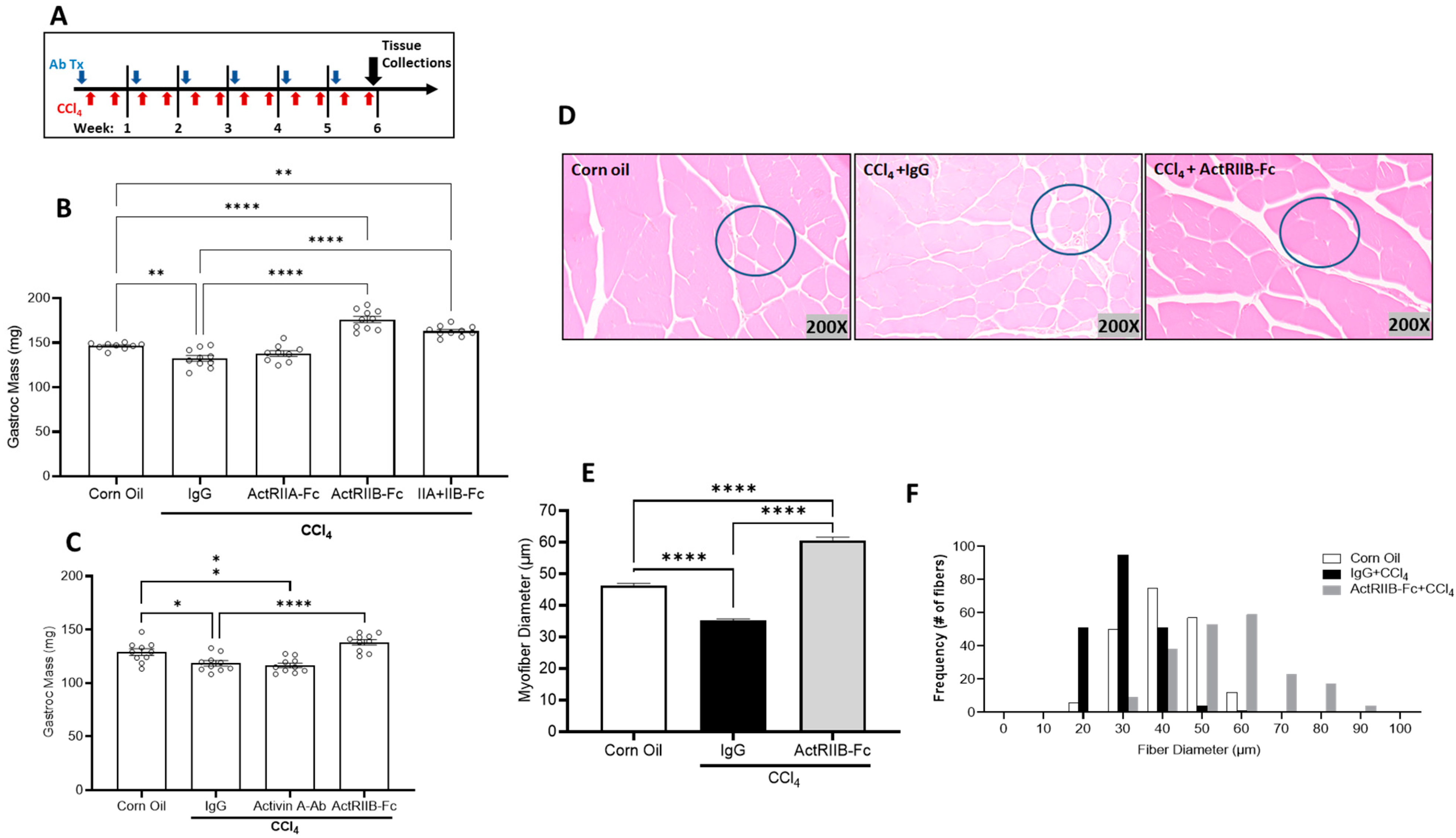 Biomedicines 11 01909 g002