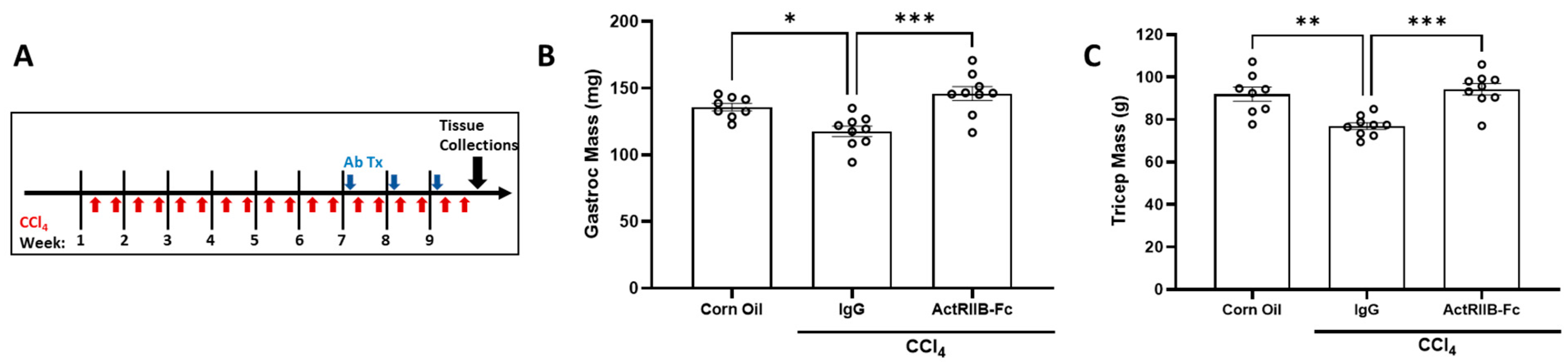 Biomedicines 11 01909 g003