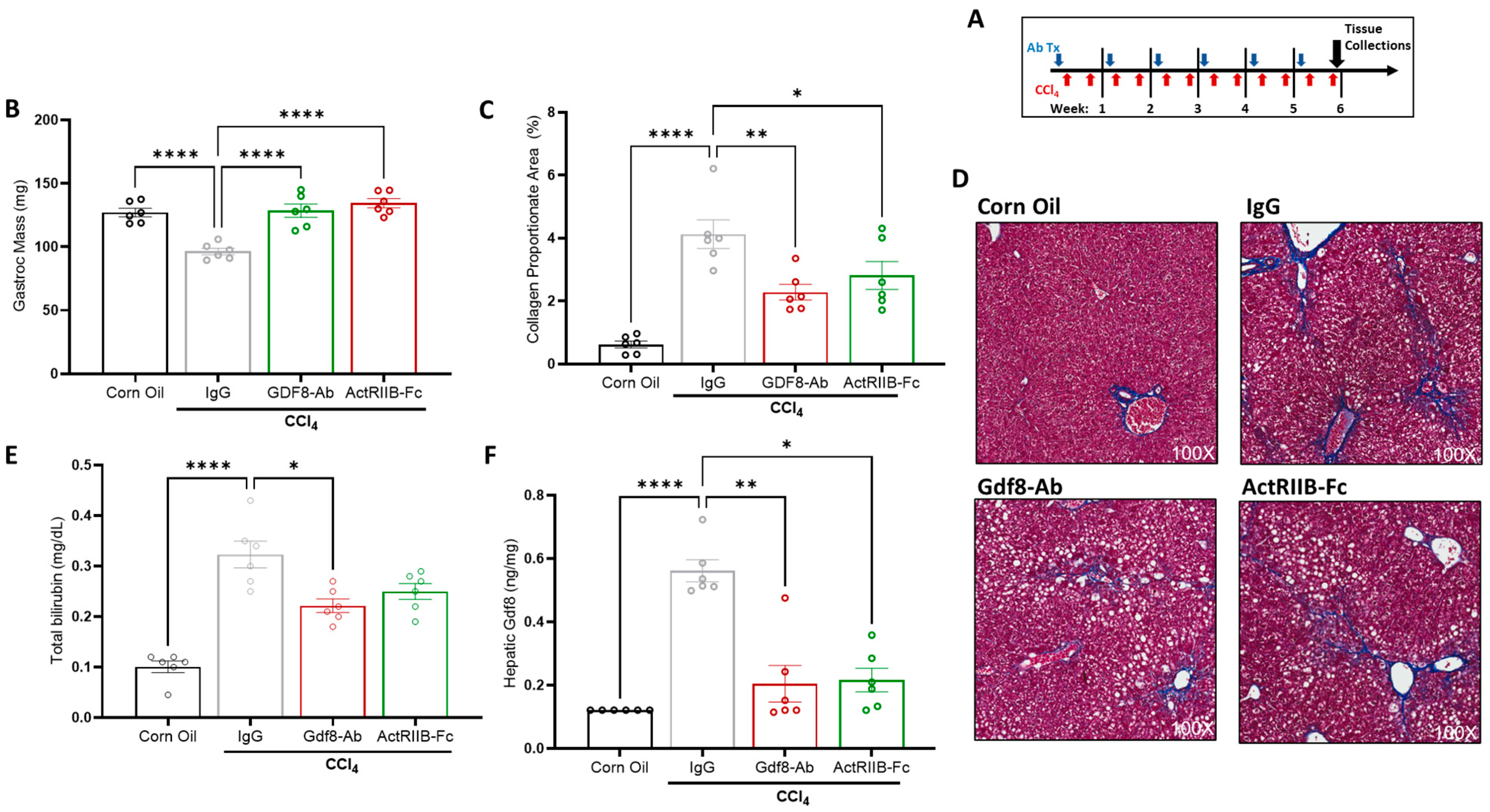 Biomedicines 11 01909 g006